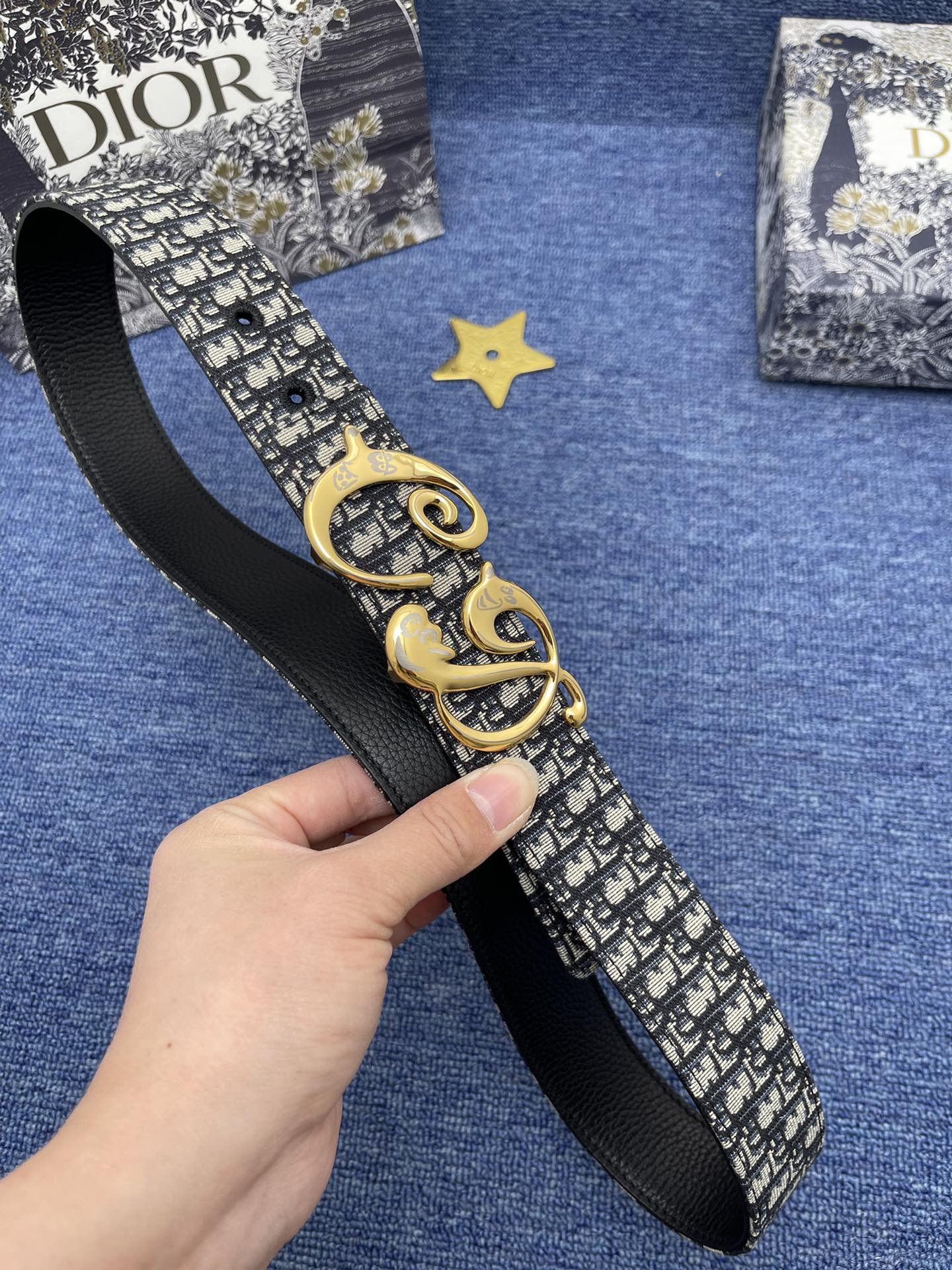 Dior Basic Belt Cow Leather Black Adjustable S-m