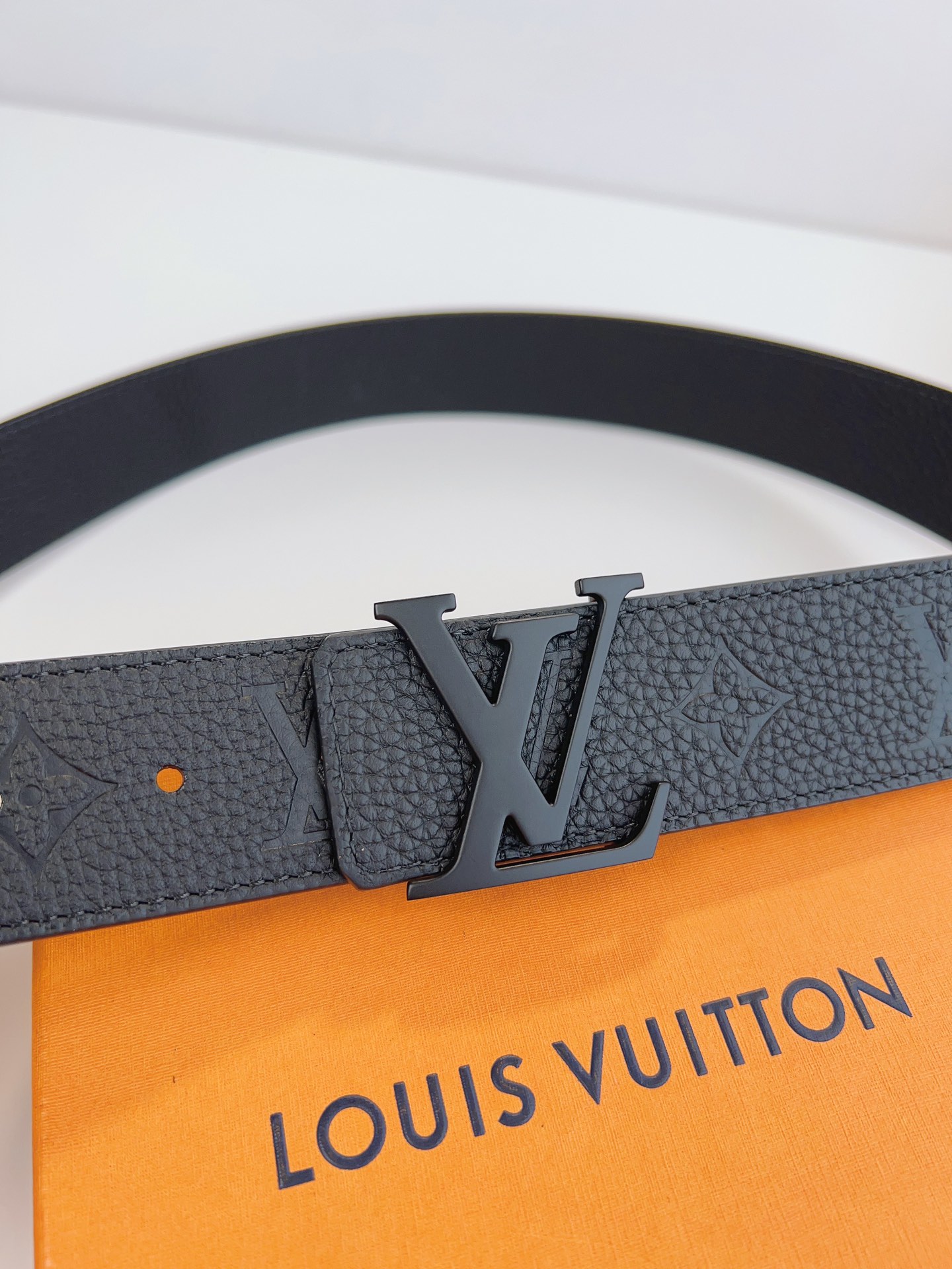 Louis Vuitton Male Basic Belt M-l