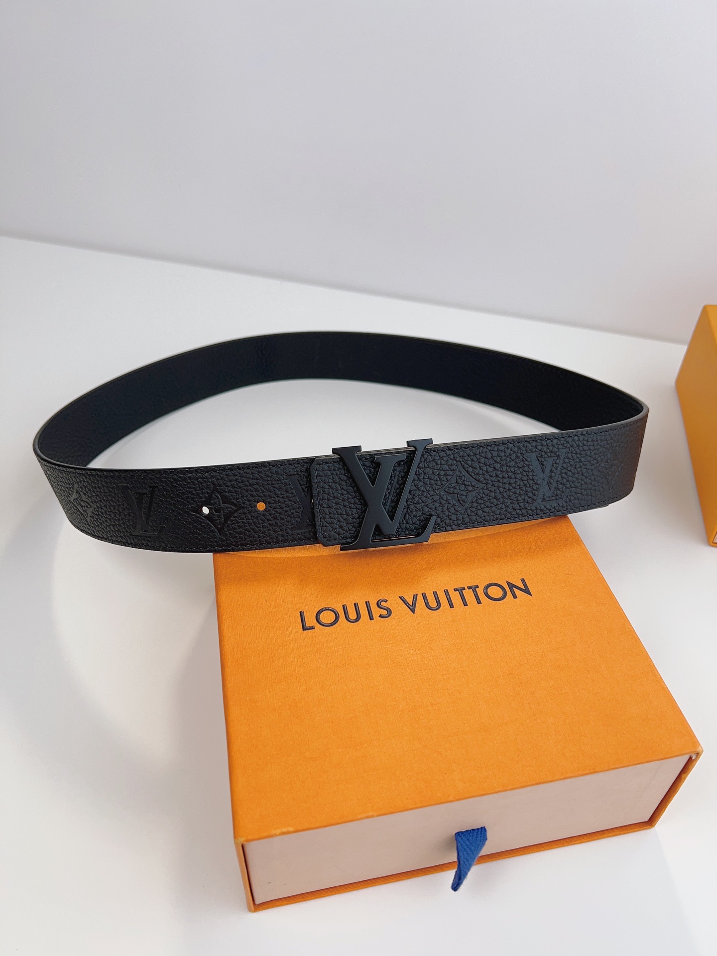 Louis Vuitton Male Basic Belt M-l