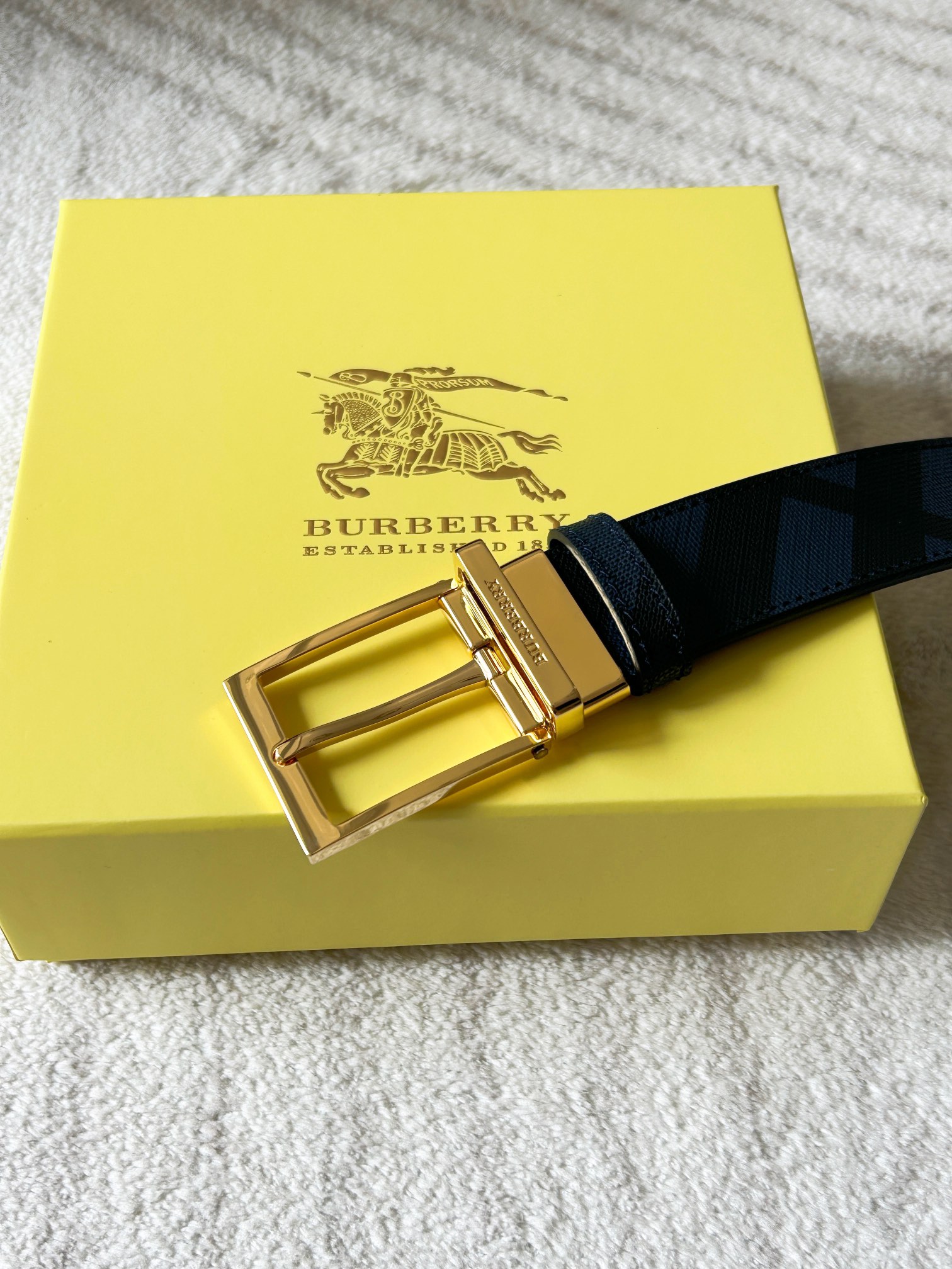 Burberry Male Basic Belt Cow Leather M-l