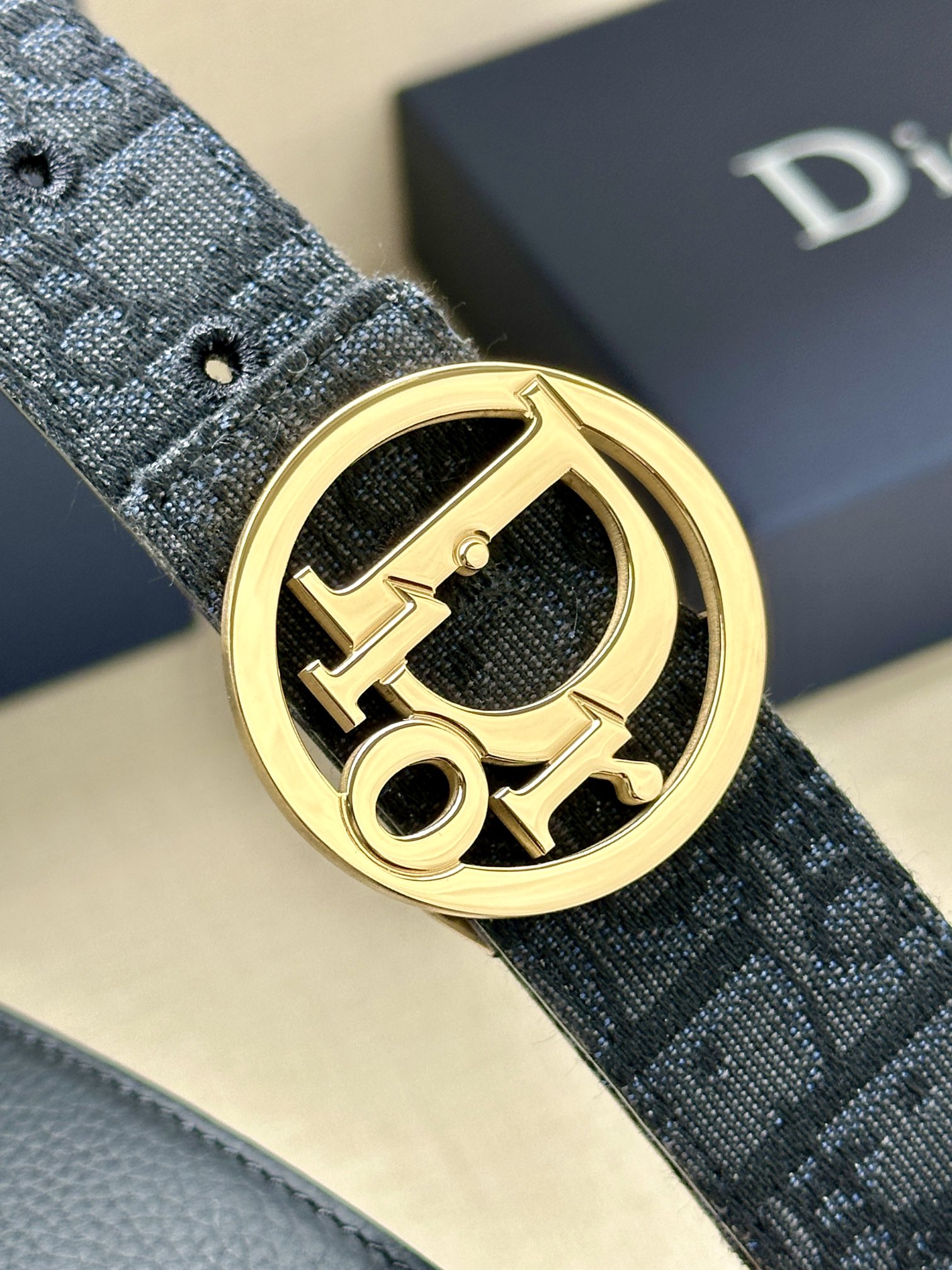 Dior Basic Belt Gold M-l