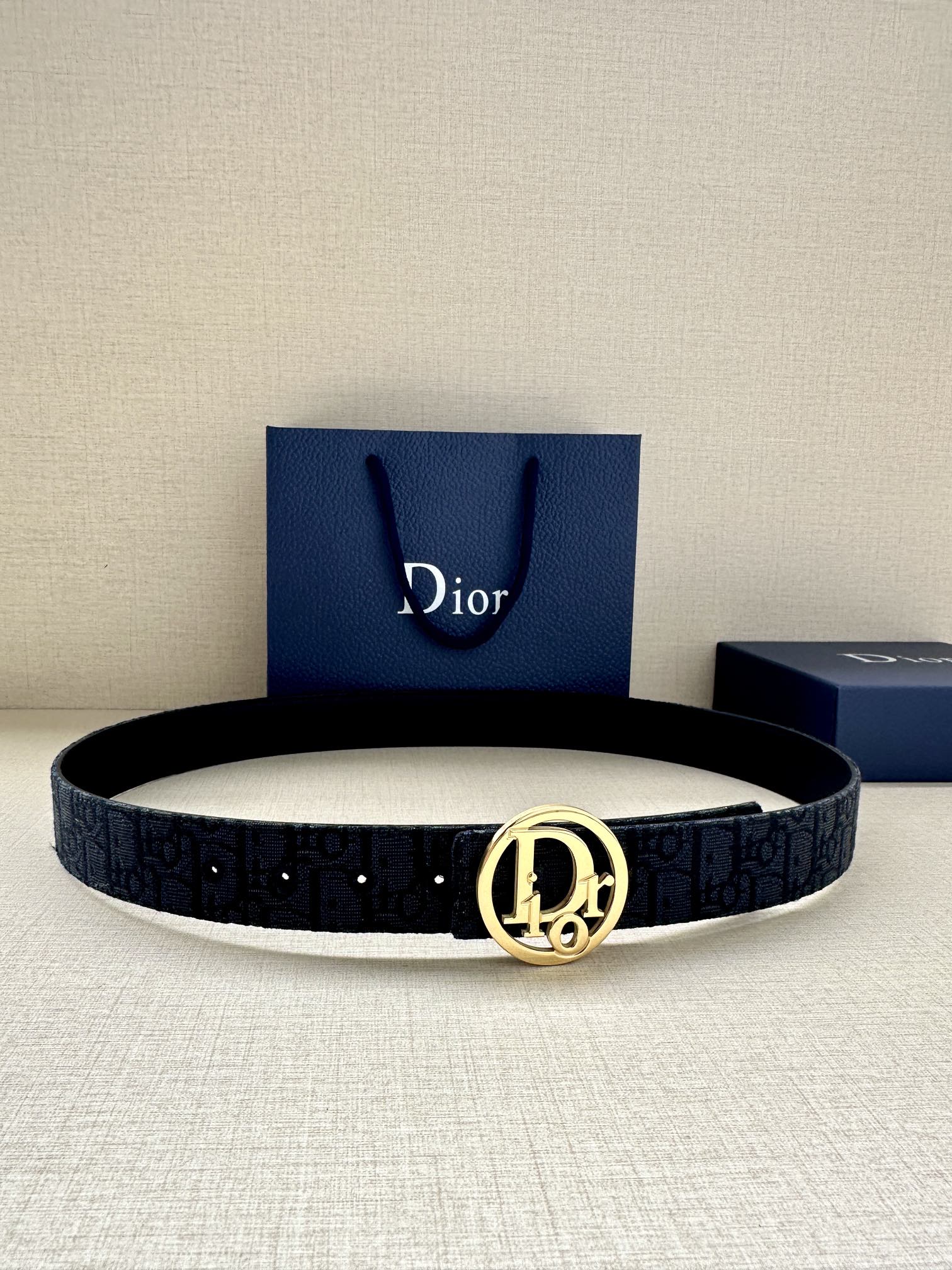 Dior Basic Belt Gold M-l