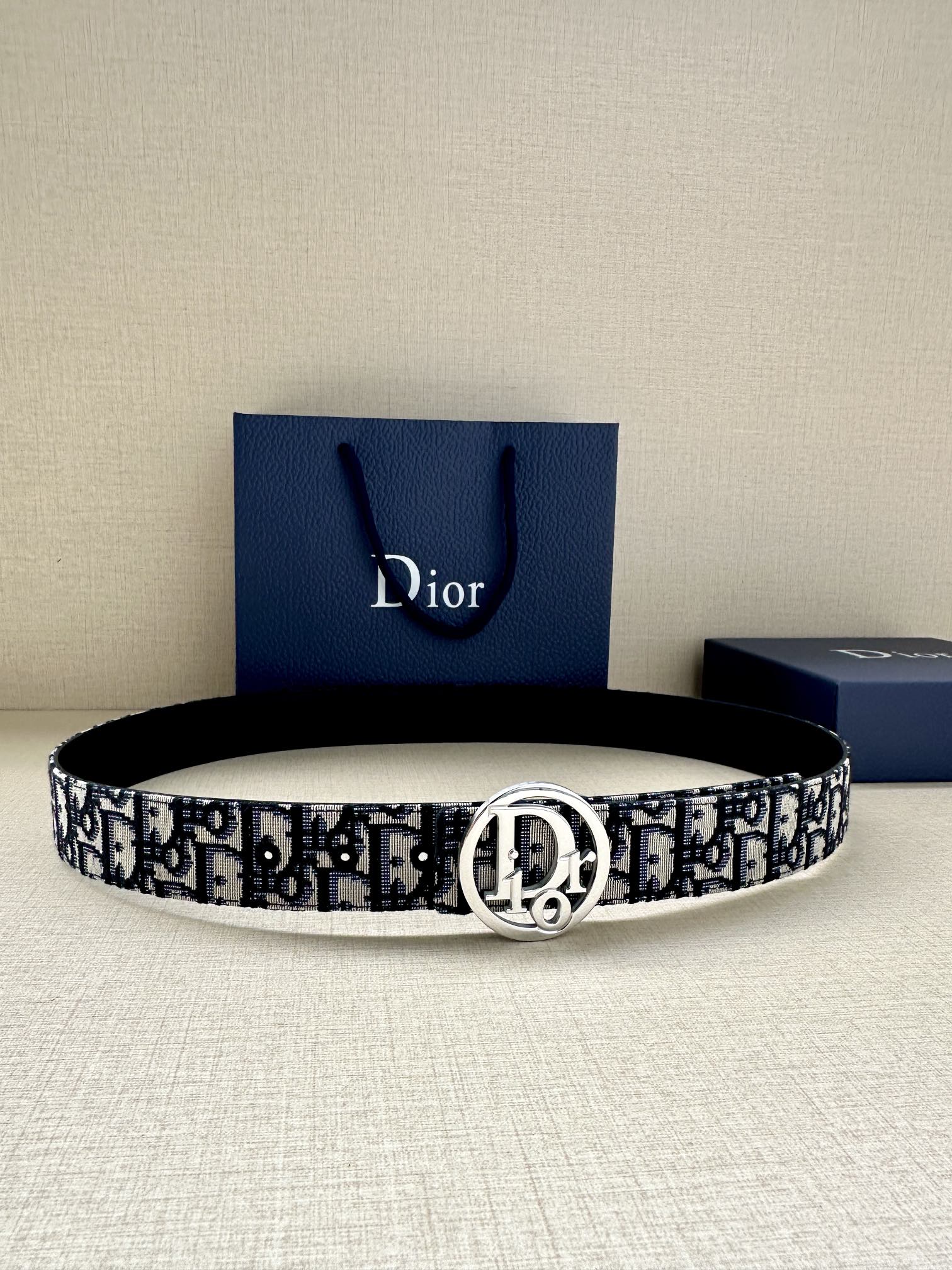 Dior Basic Belt Gold M-l