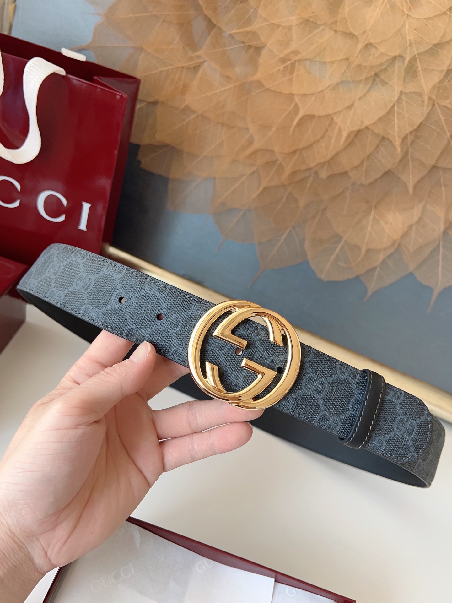 Gucci Basic Belt Canvas M