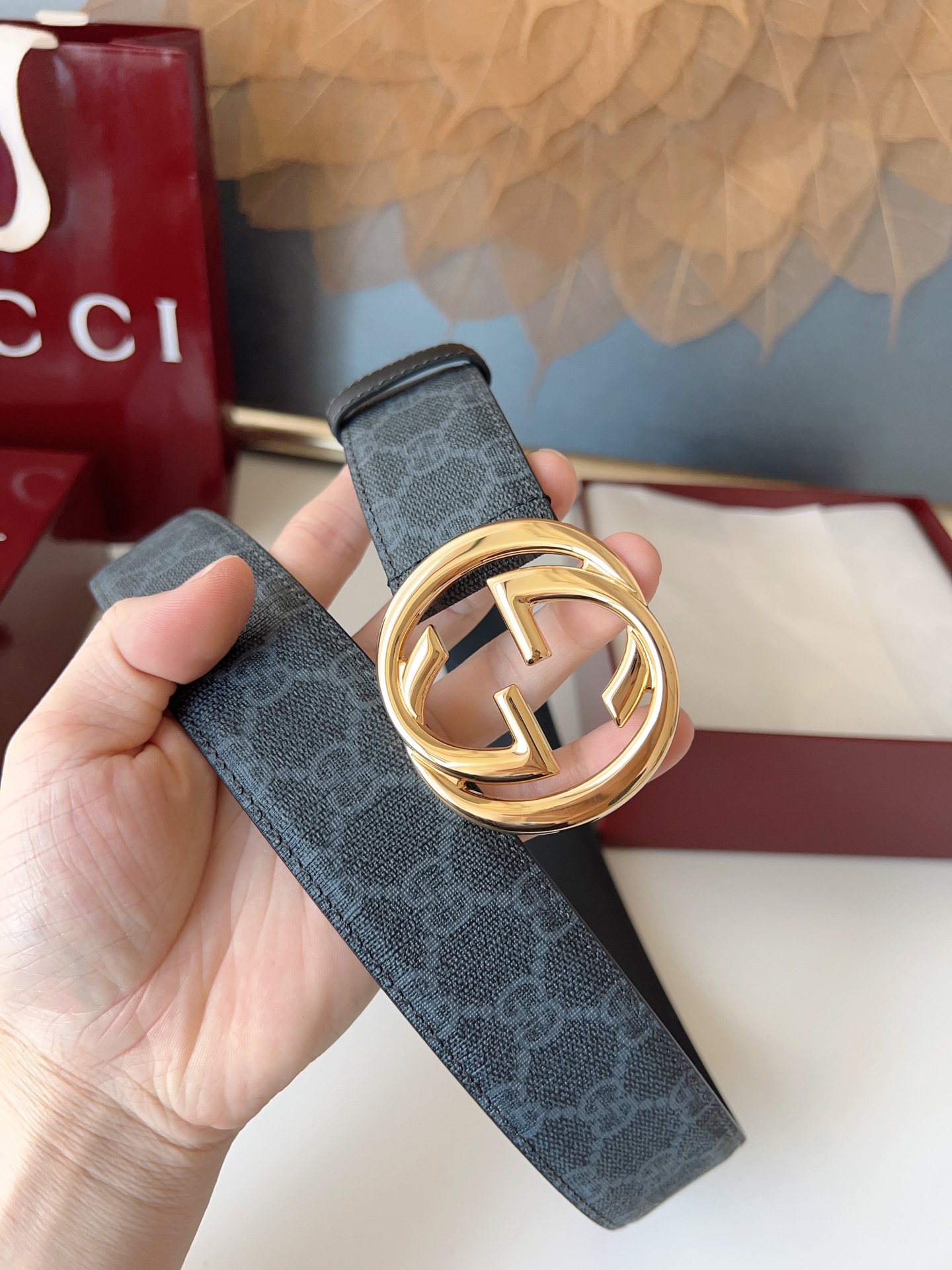 Gucci Basic Belt Canvas M