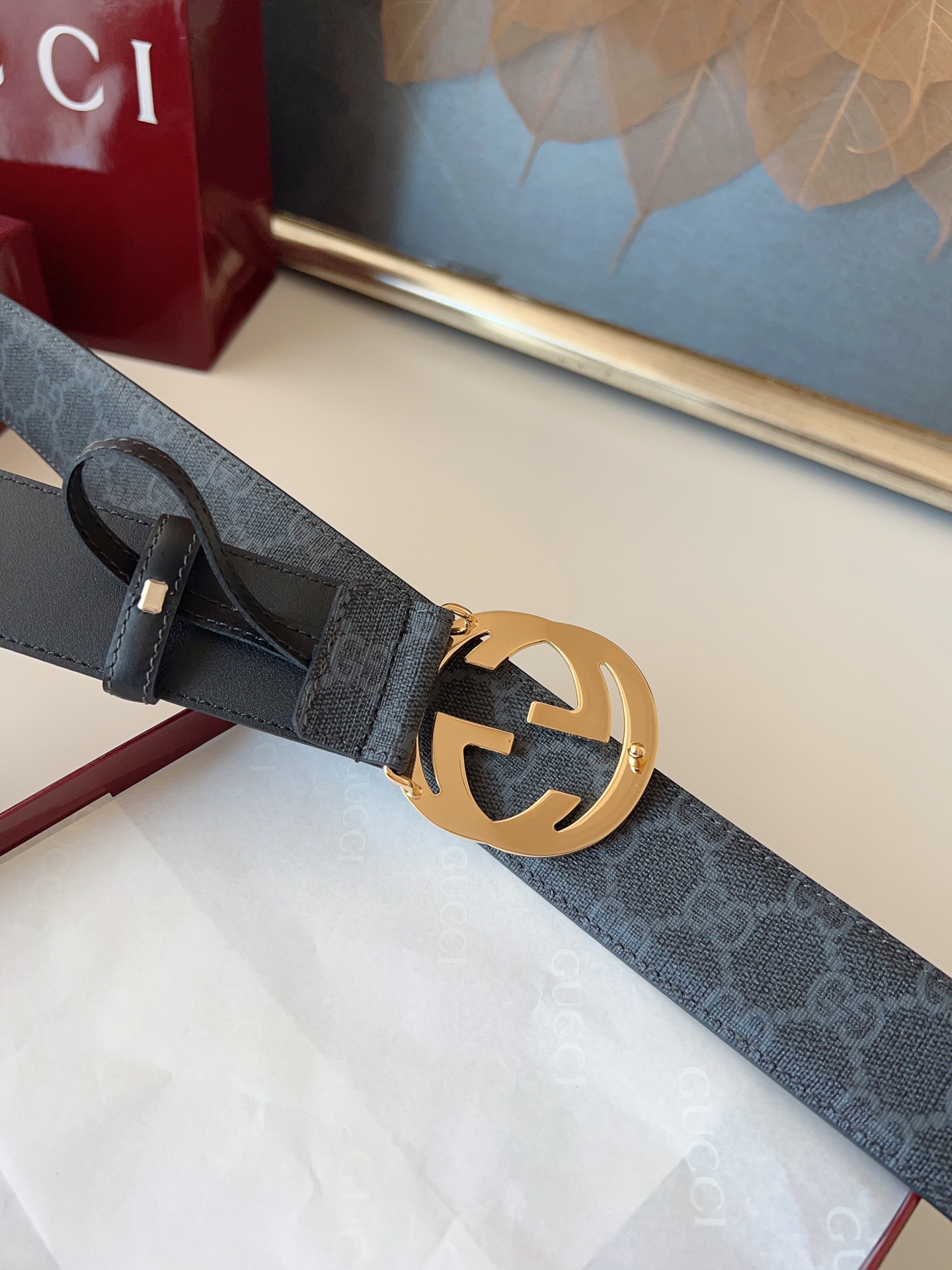 Gucci Basic Belt Canvas M