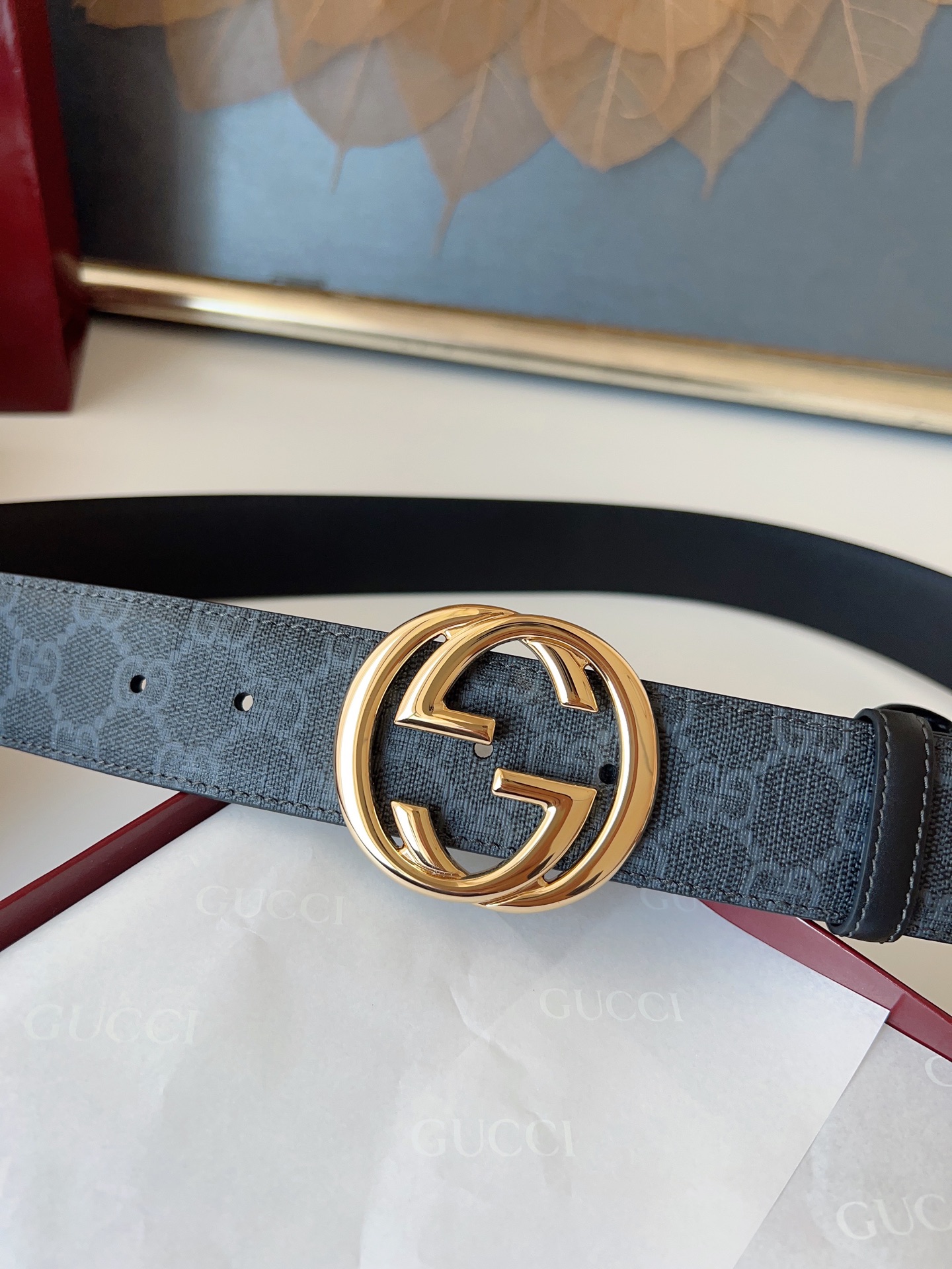Gucci Basic Belt Canvas M