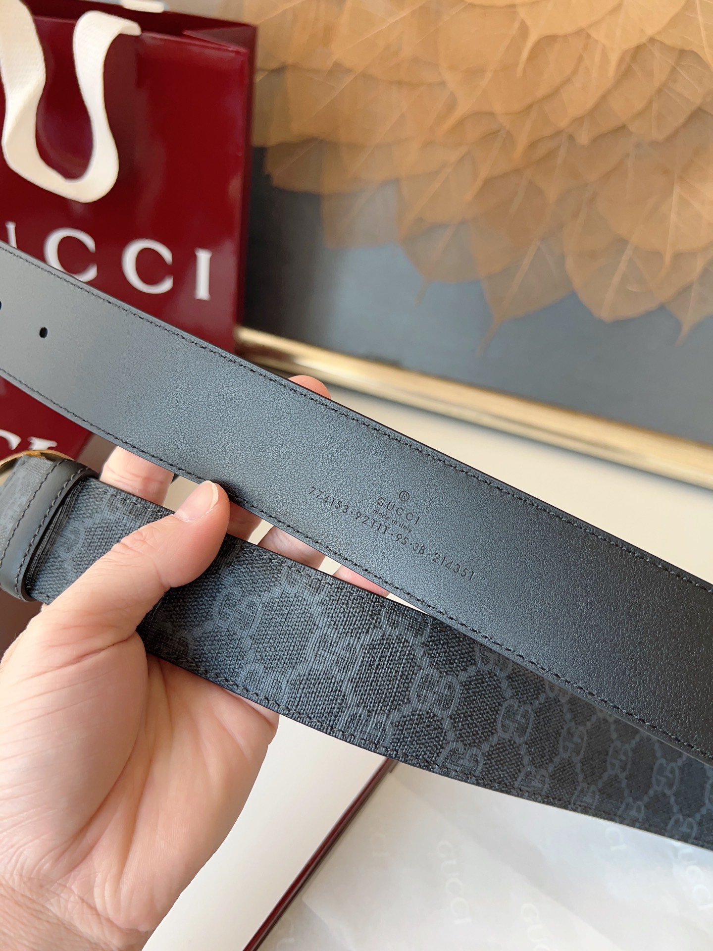 Gucci Basic Belt Canvas M