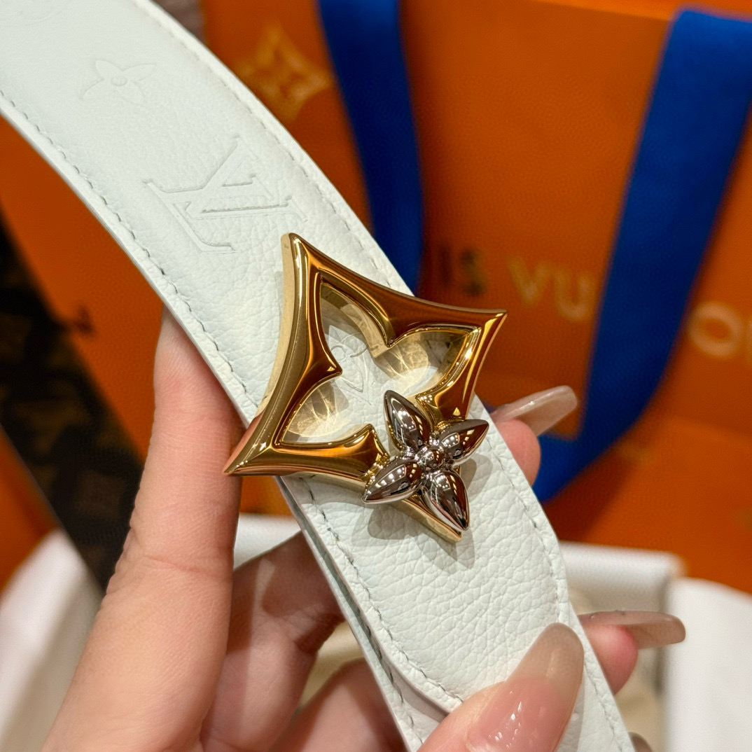 Louis Vuitton Female Basic Belt Canvas M