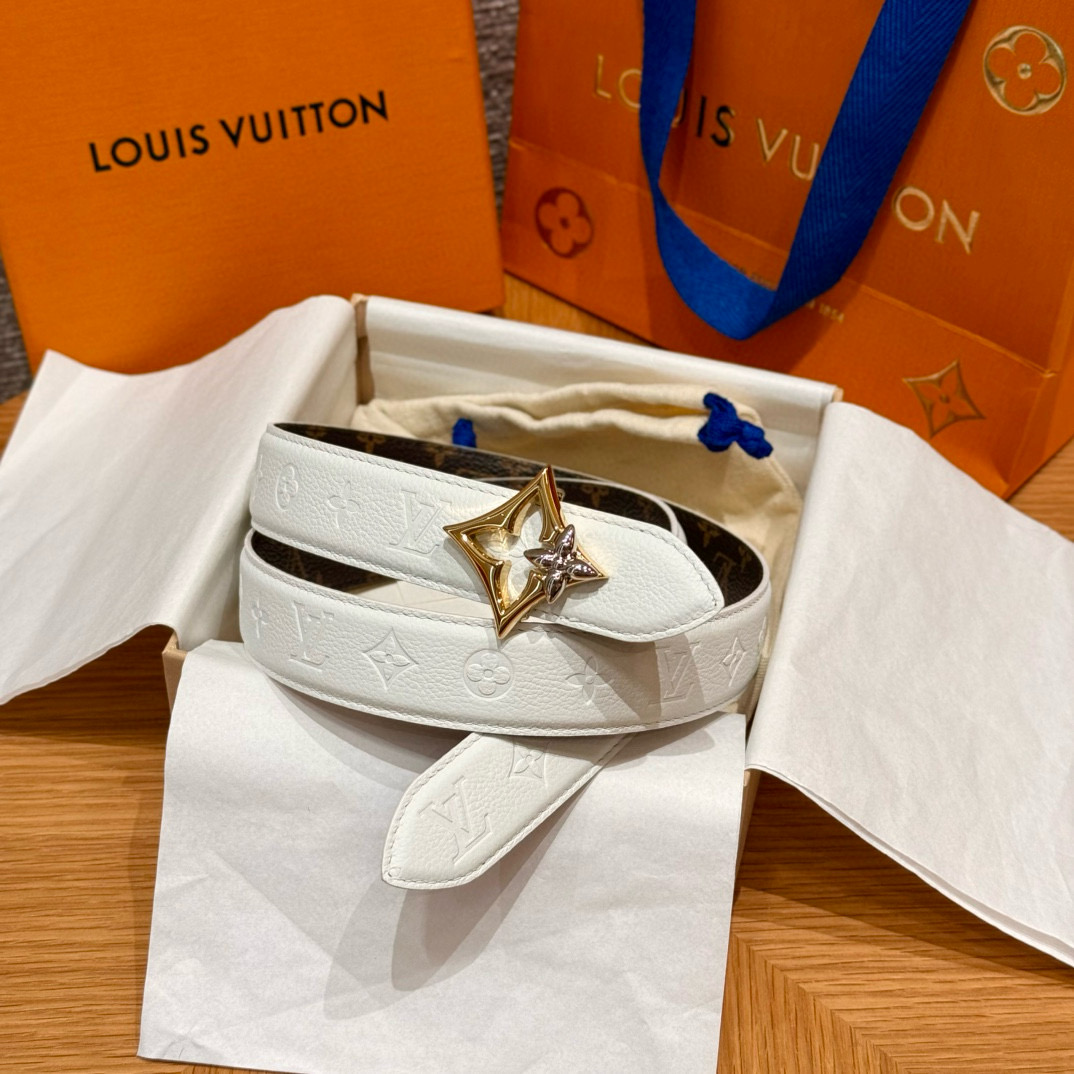 Louis Vuitton Female Basic Belt Canvas M