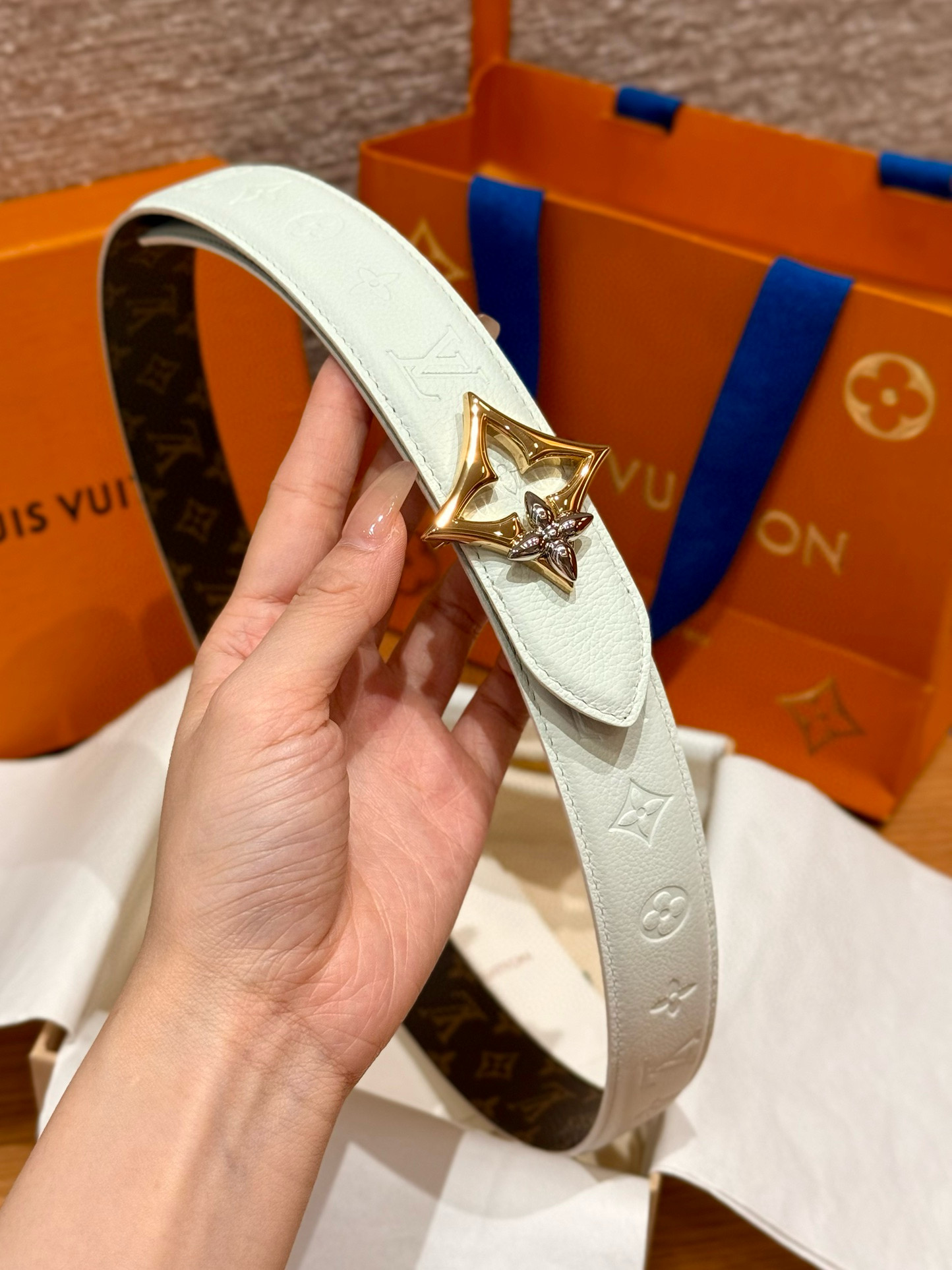 Louis Vuitton Female Basic Belt Canvas M