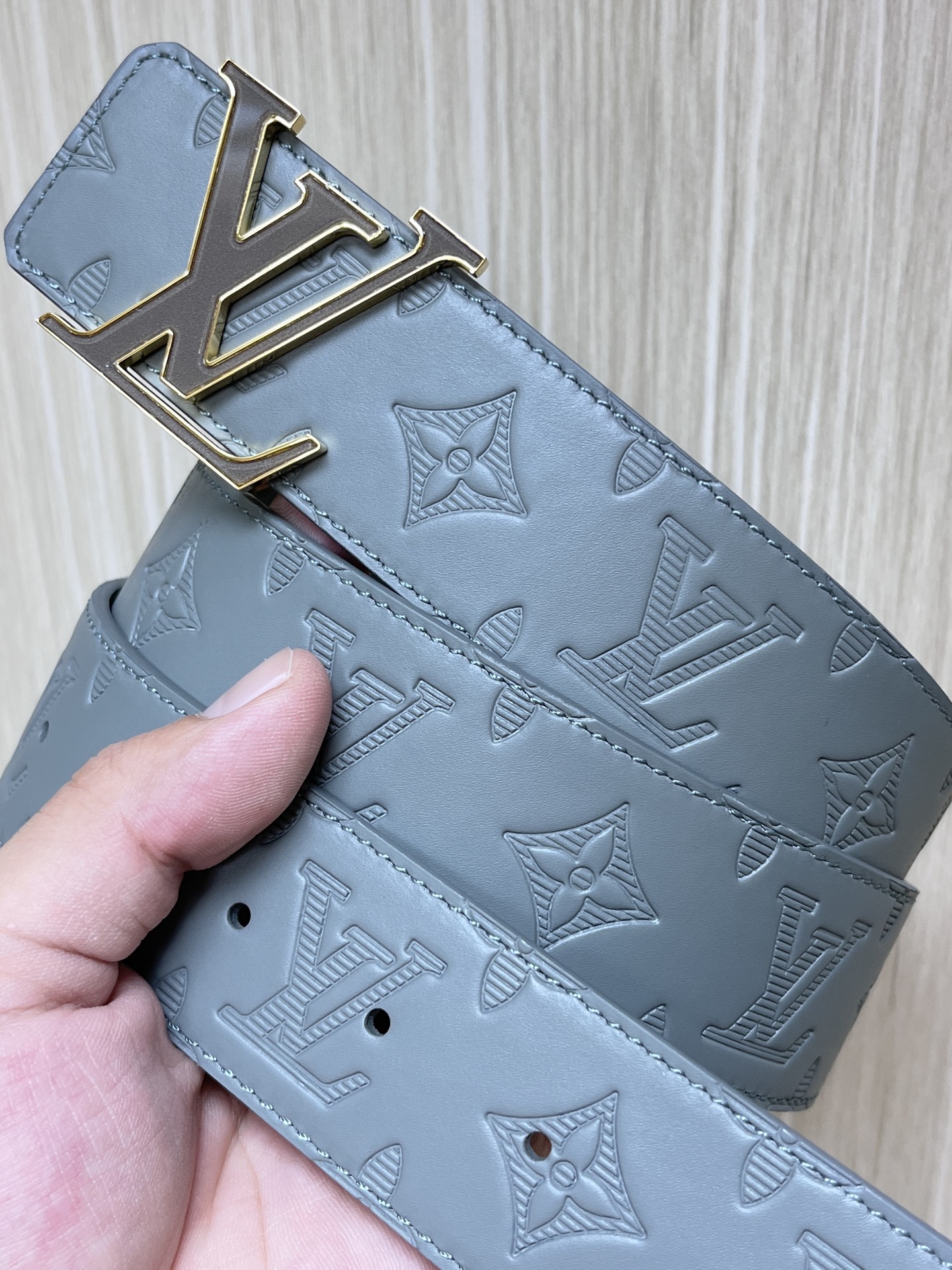 Louis Vuitton Male Basic Belt Cow Leather L