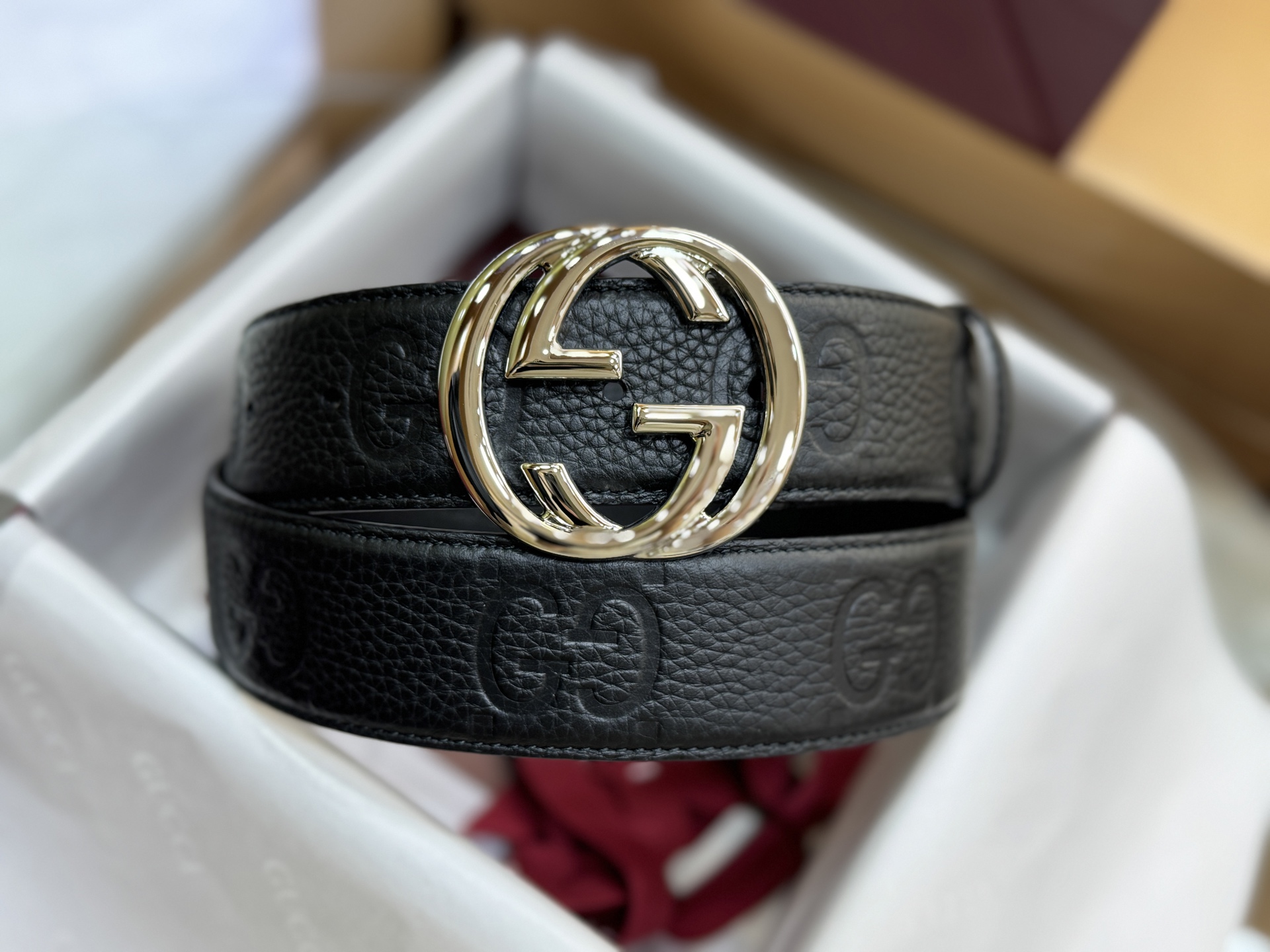 Gucci Basic Belt Canvas Black S-m