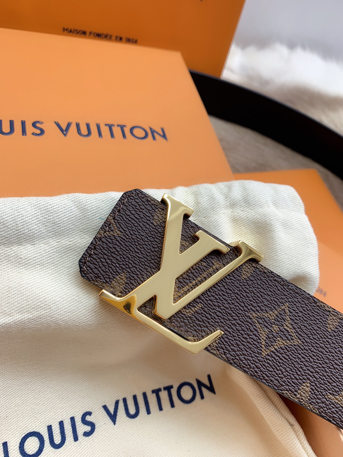 Louis Vuitton Male Basic Belt M-l