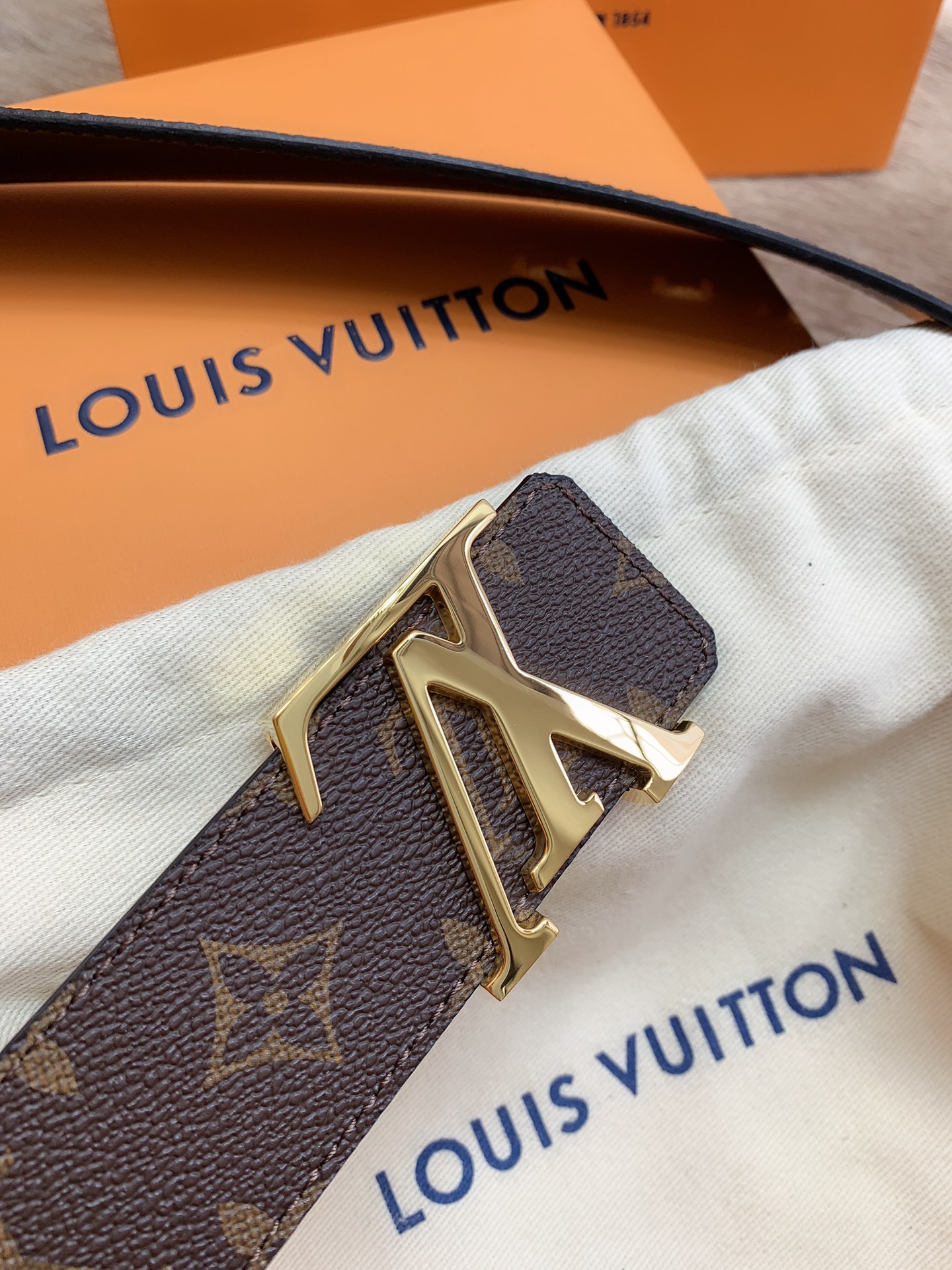 Louis Vuitton Male Basic Belt M-l