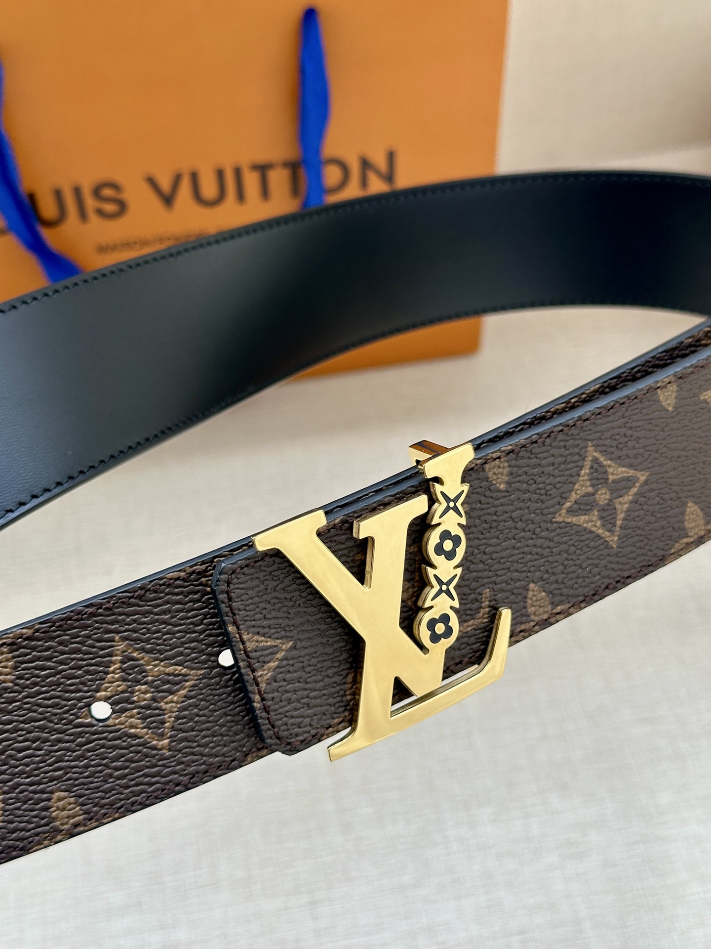 Louis Vuitton Basic Belt Canvas M-l