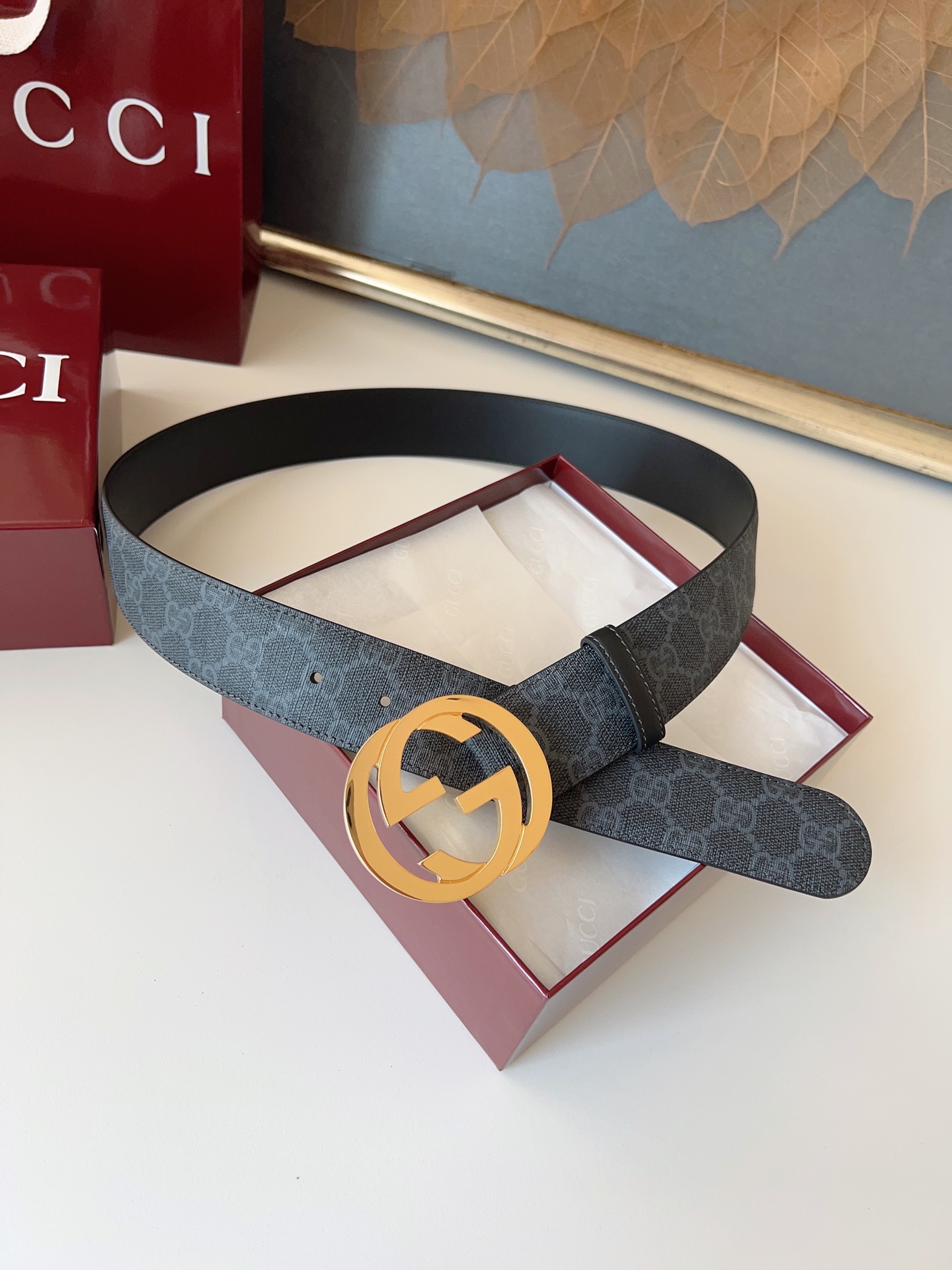 Gucci Basic Belt Canvas M