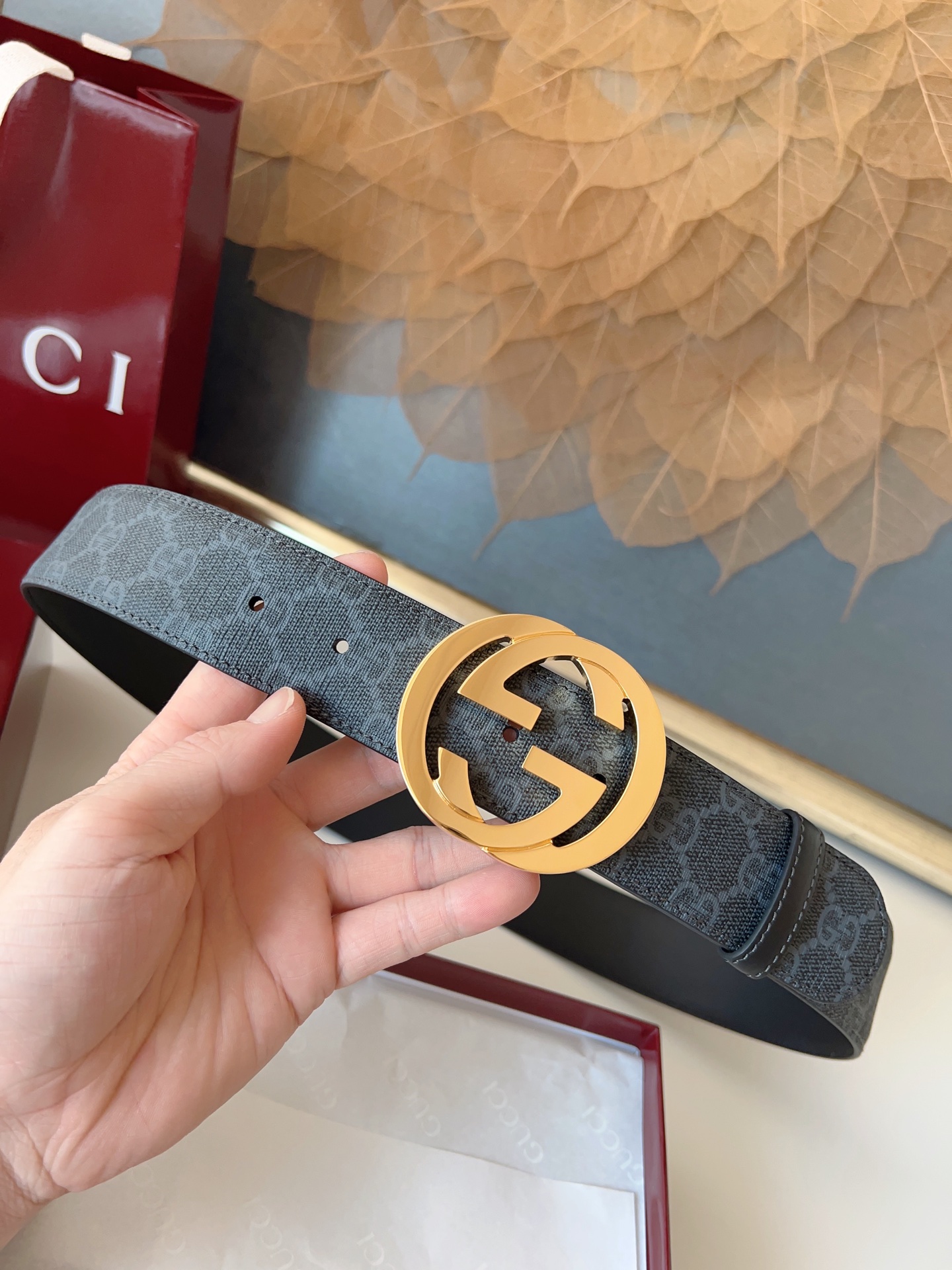 Gucci Basic Belt Canvas M