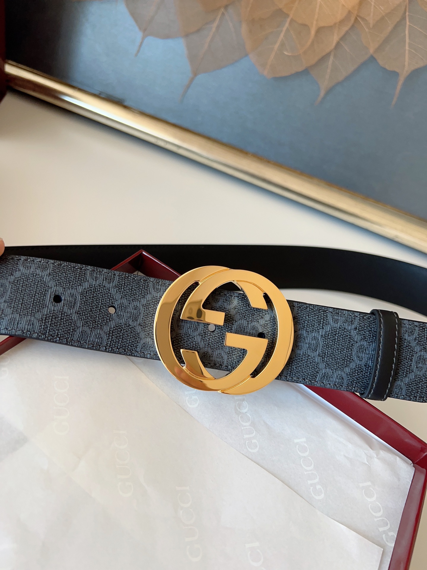 Gucci Basic Belt Canvas M