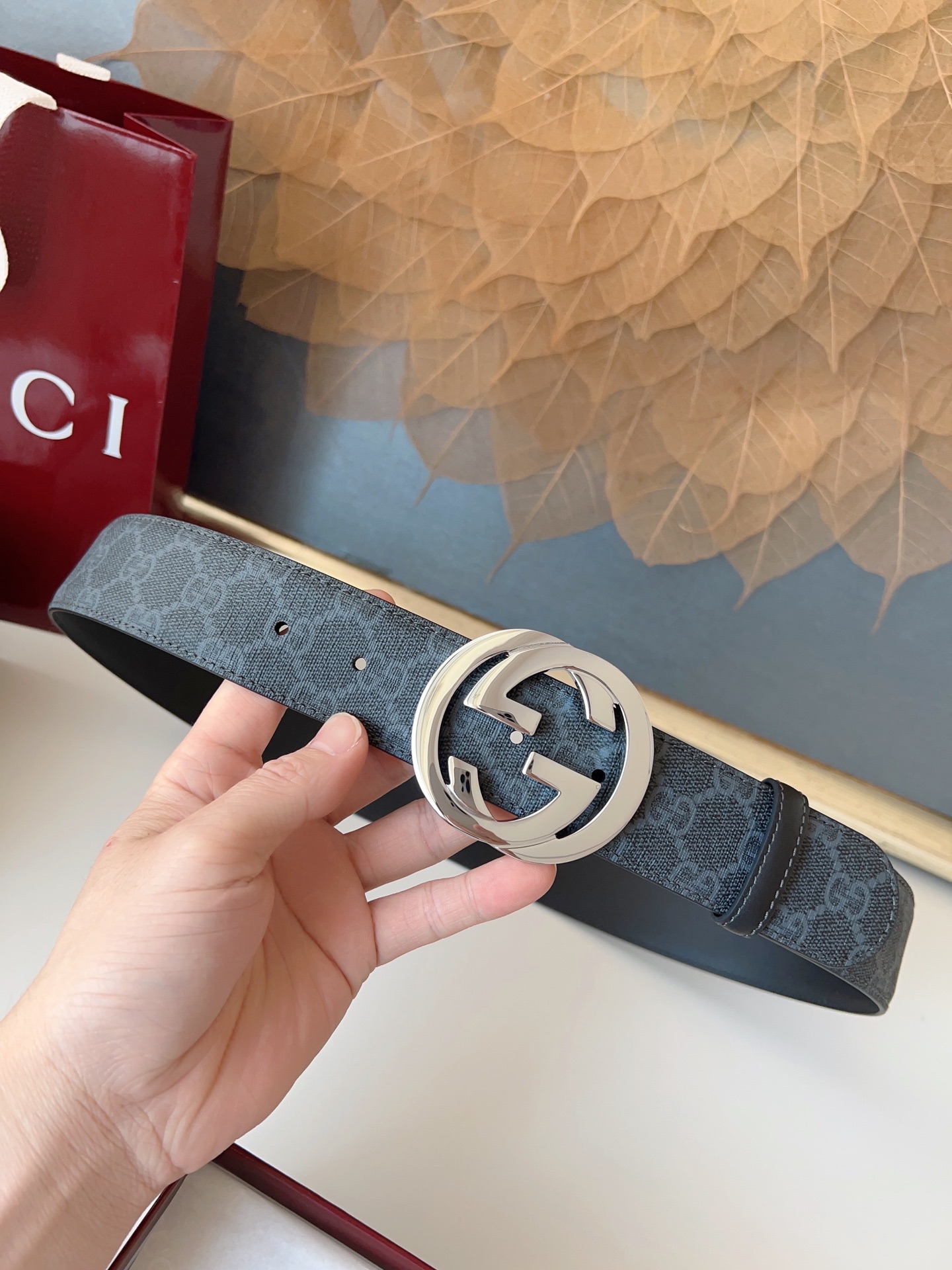 Gucci Basic Belt Canvas M