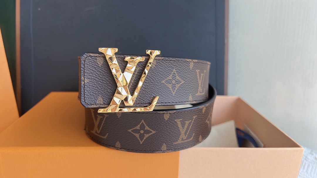 Louis Vuitton Male Leather Belt M-l