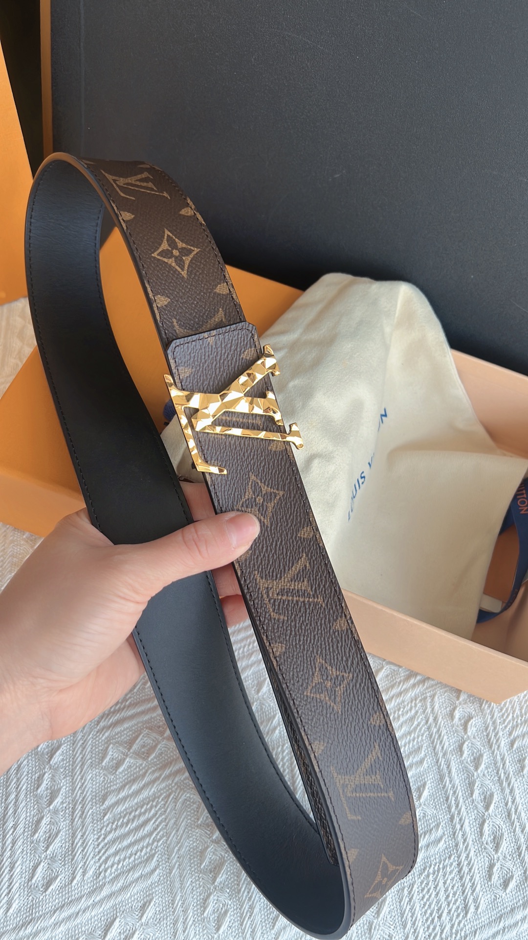 Louis Vuitton Male Leather Belt M-l