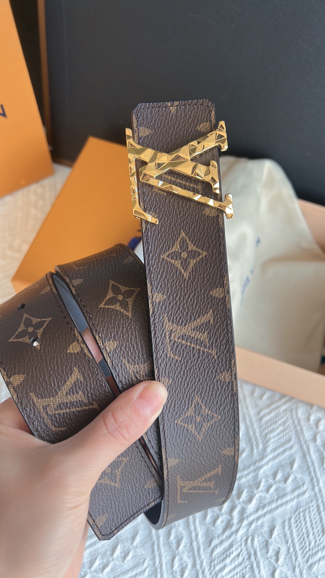 Louis Vuitton Male Leather Belt M-l