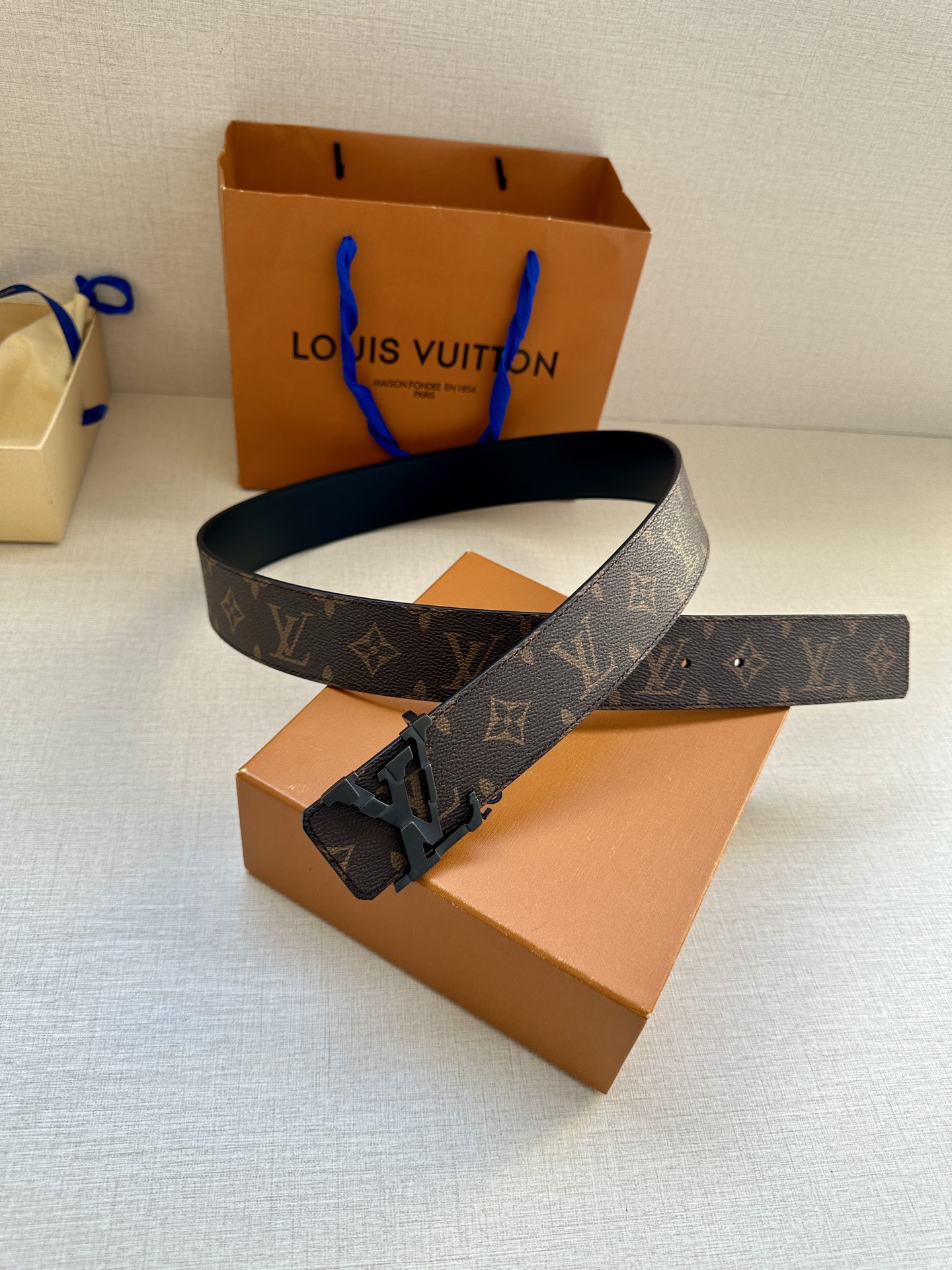 Louis Vuitton Basic Belt Canvas M-l