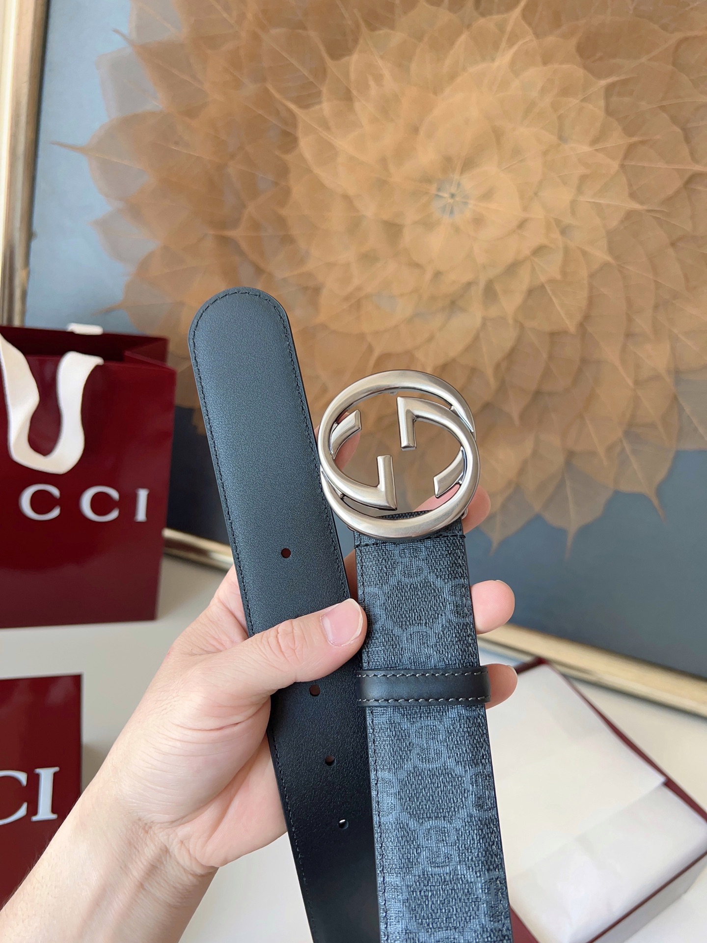 Gucci Basic Belt Canvas M