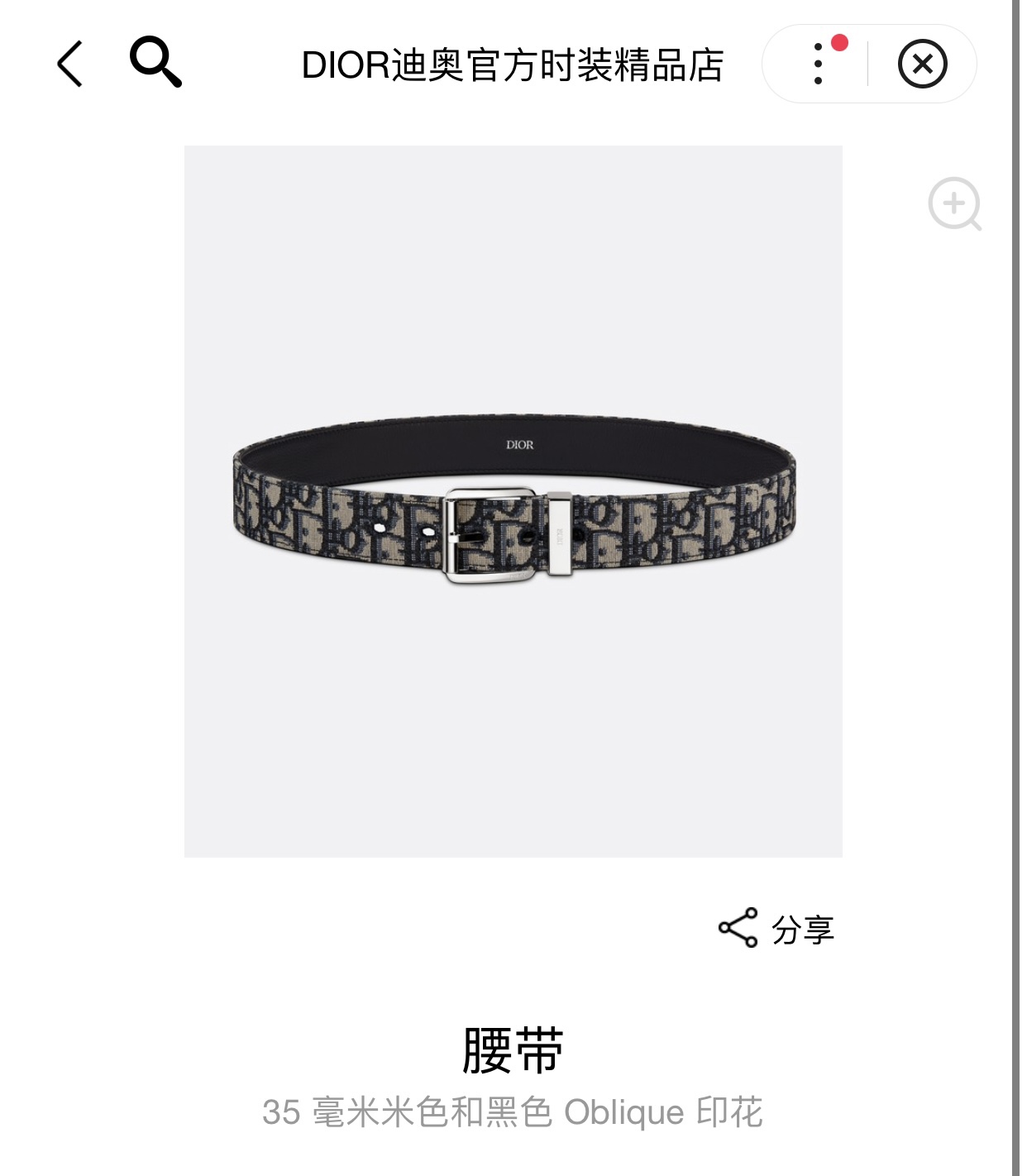 Dior Male Pin Buckle Belt Cow Leather Black M-l