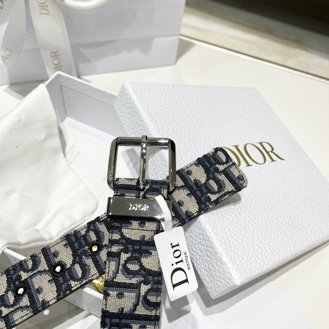 Dior Male Pin Buckle Belt Cow Leather Black M-l