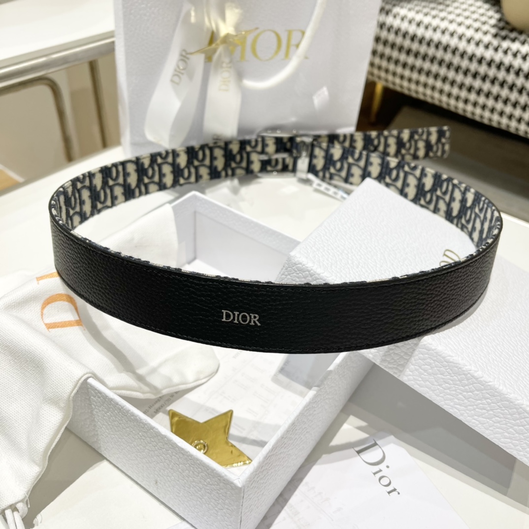 Dior Male Pin Buckle Belt Cow Leather Black M-l