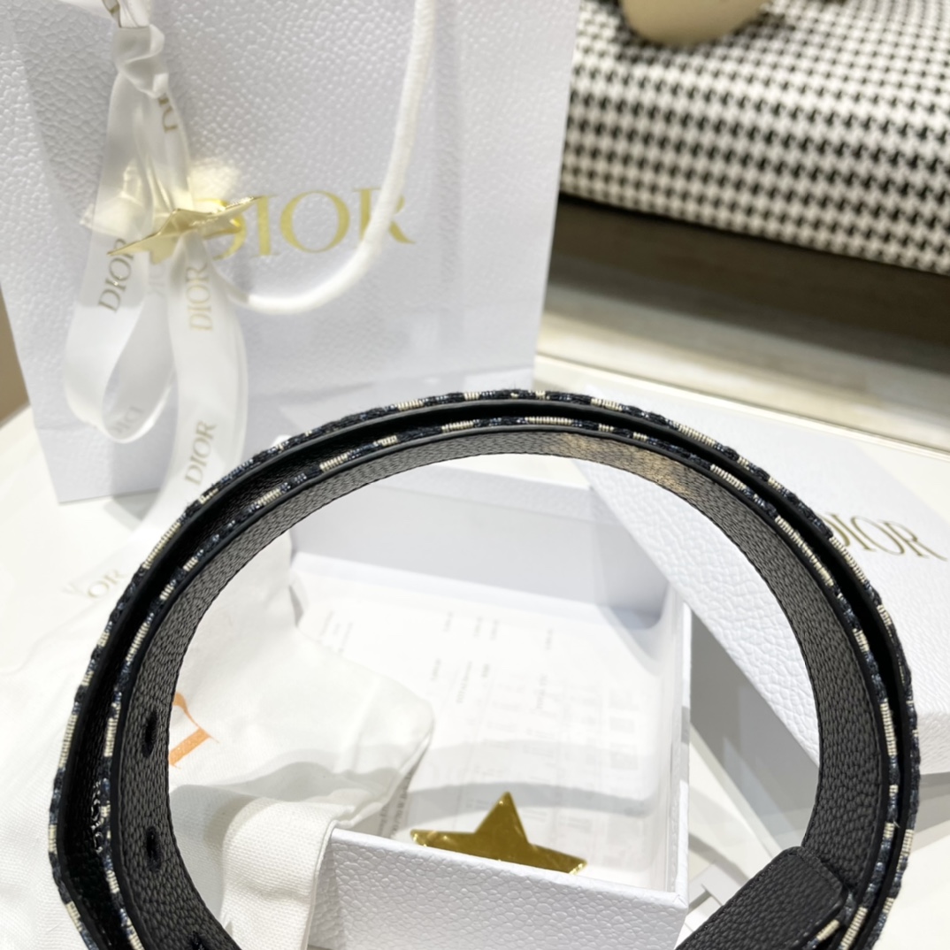 Dior Male Pin Buckle Belt Cow Leather Black M-l