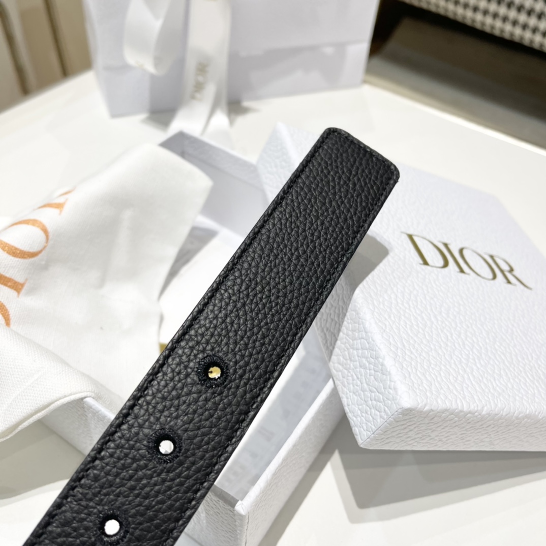 Dior Male Pin Buckle Belt Cow Leather Black M-l