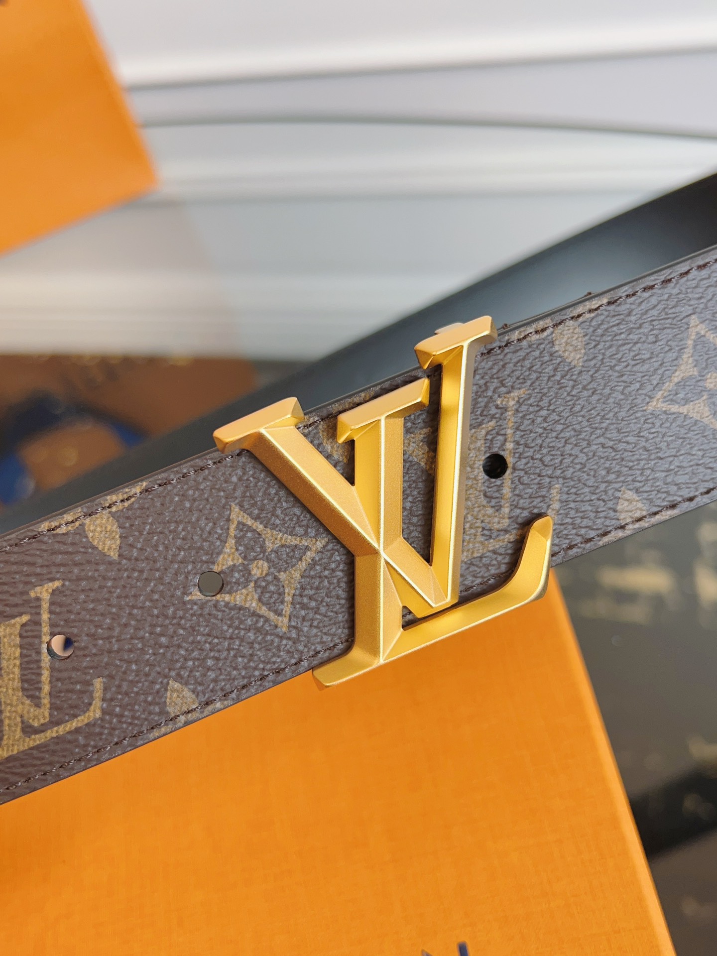 Louis Vuitton Male Basic Belt M-l