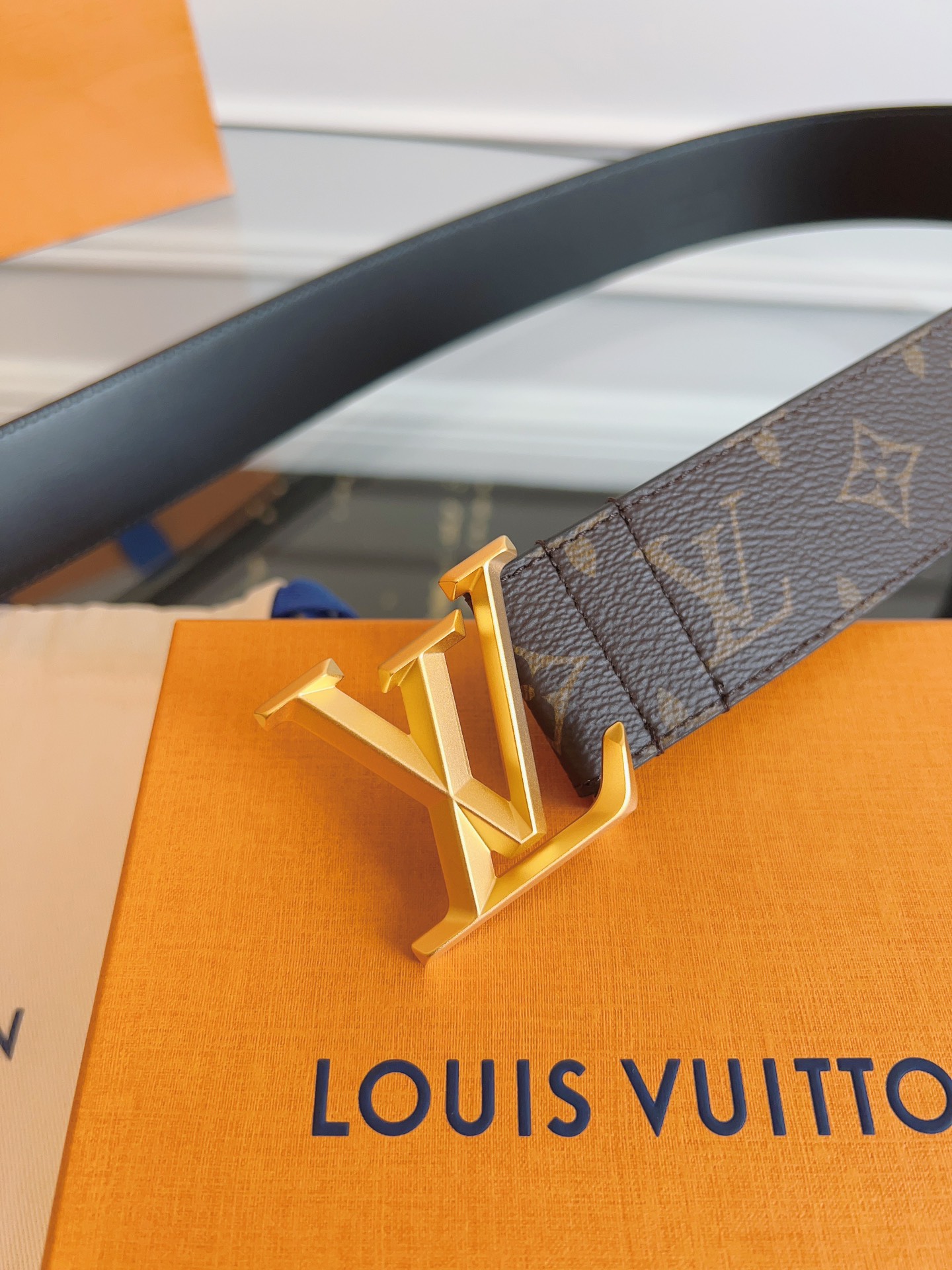 Louis Vuitton Male Basic Belt M-l