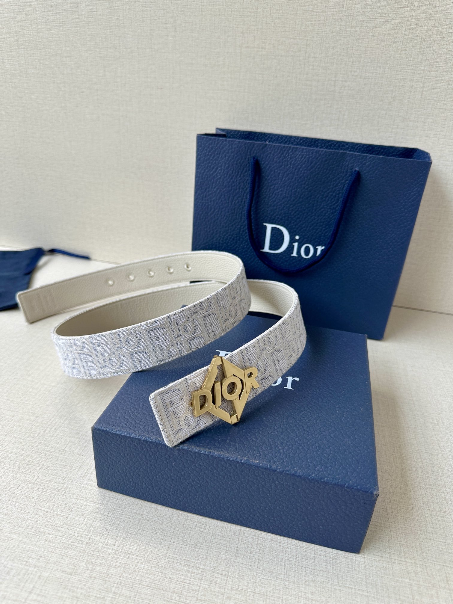 Dior Male Basic Belt Cow Leather Beige M-l