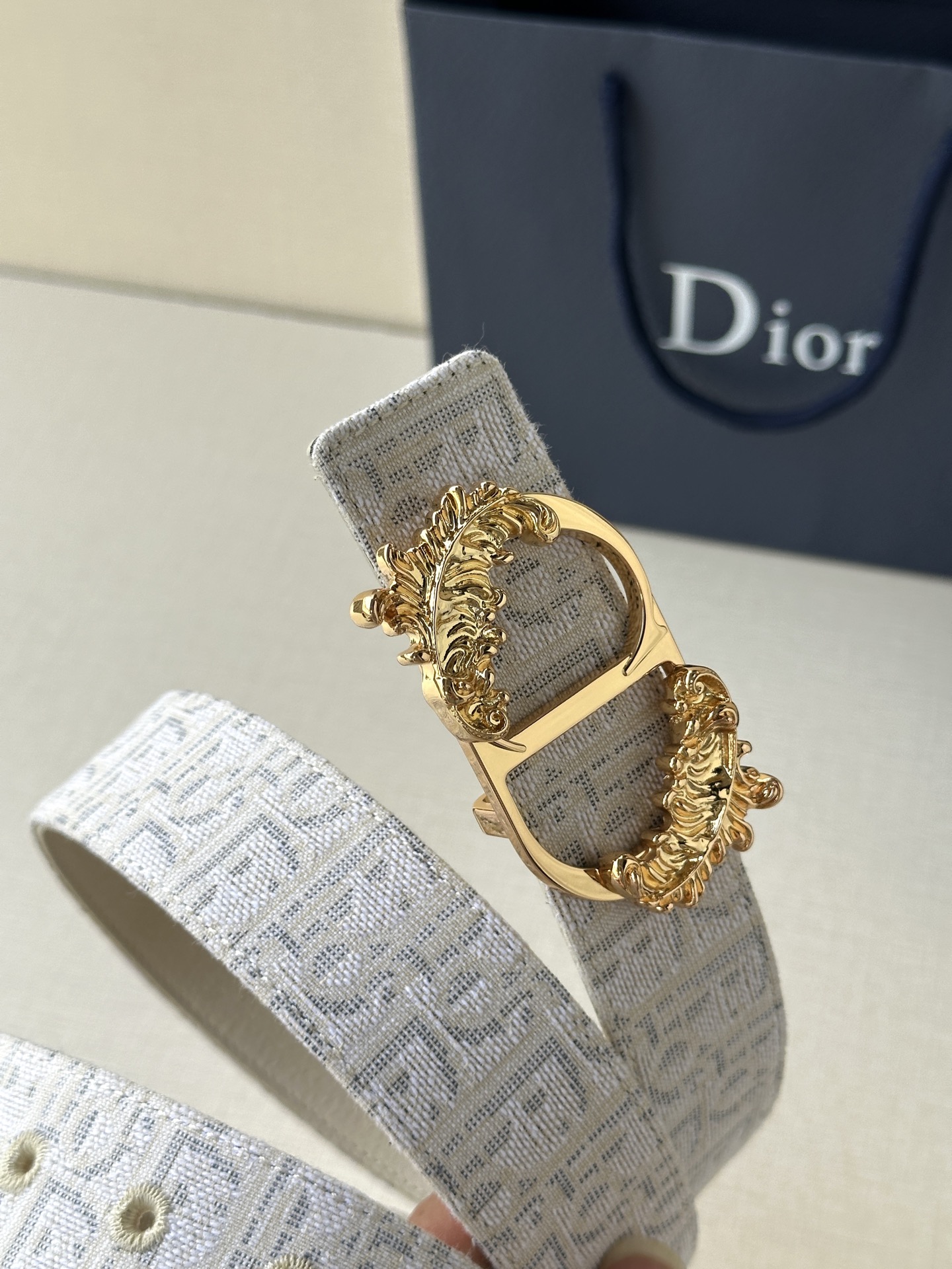 Dior Male Basic Belt Gold M-l