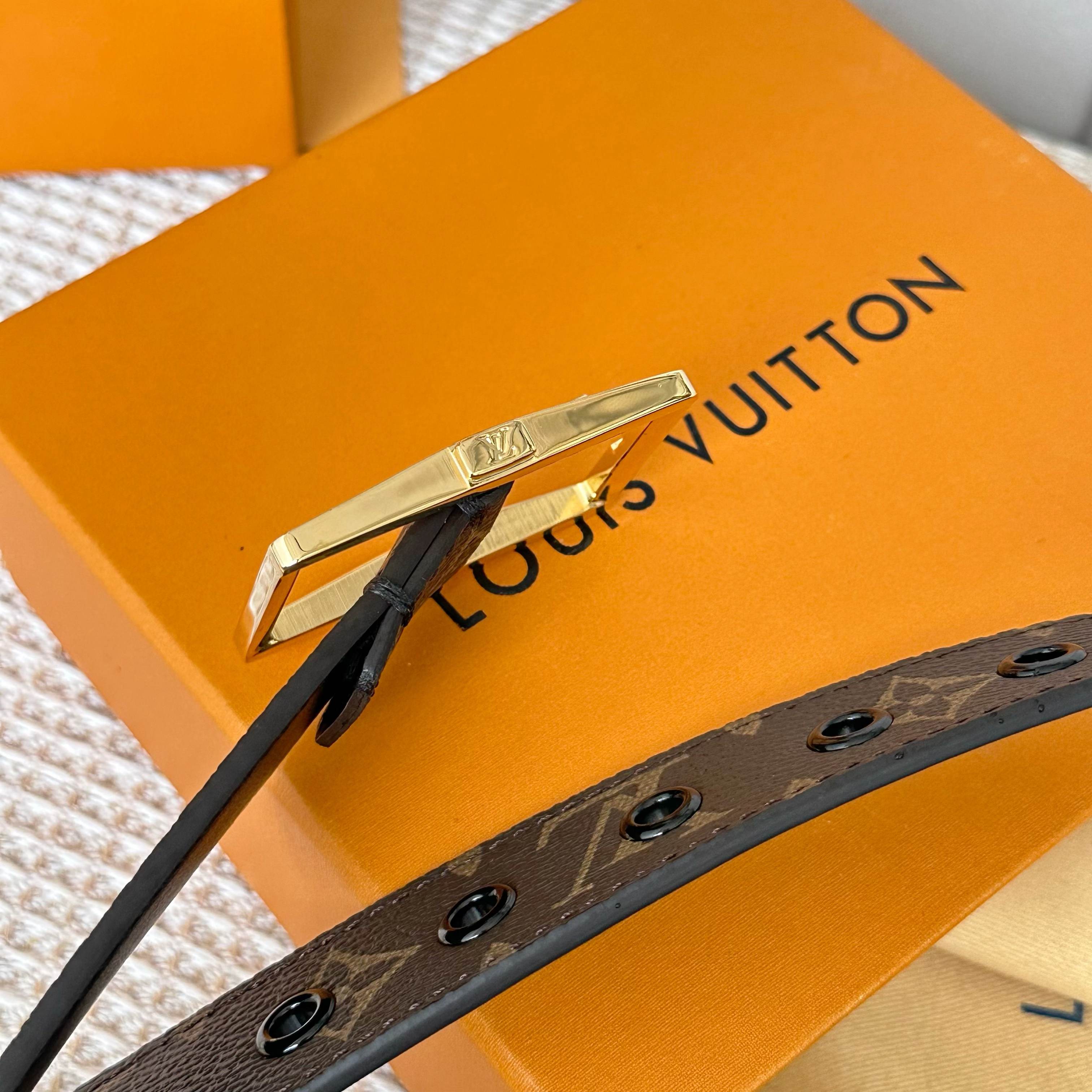 Louis Vuitton Male Basic Belt Cow Leather S-l