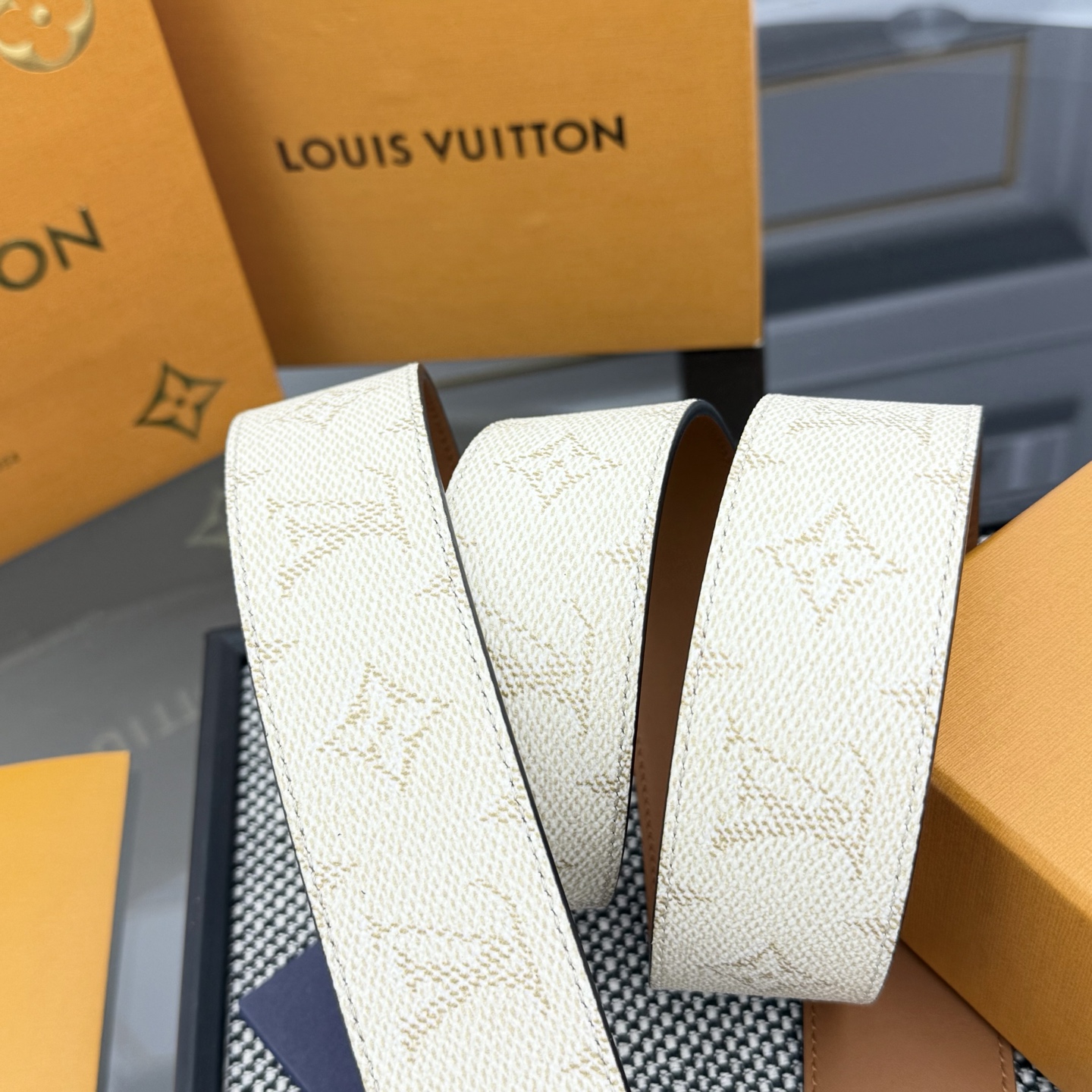 Louis Vuitton Male Basic Belt Canvas S-m-l
