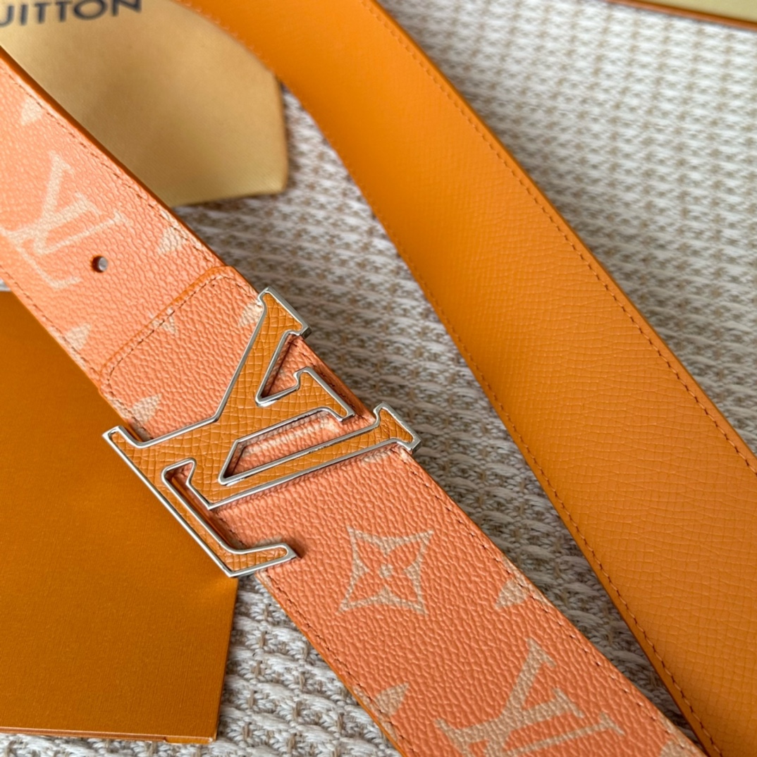 Louis Vuitton Male Basic Belt Cow Leather L