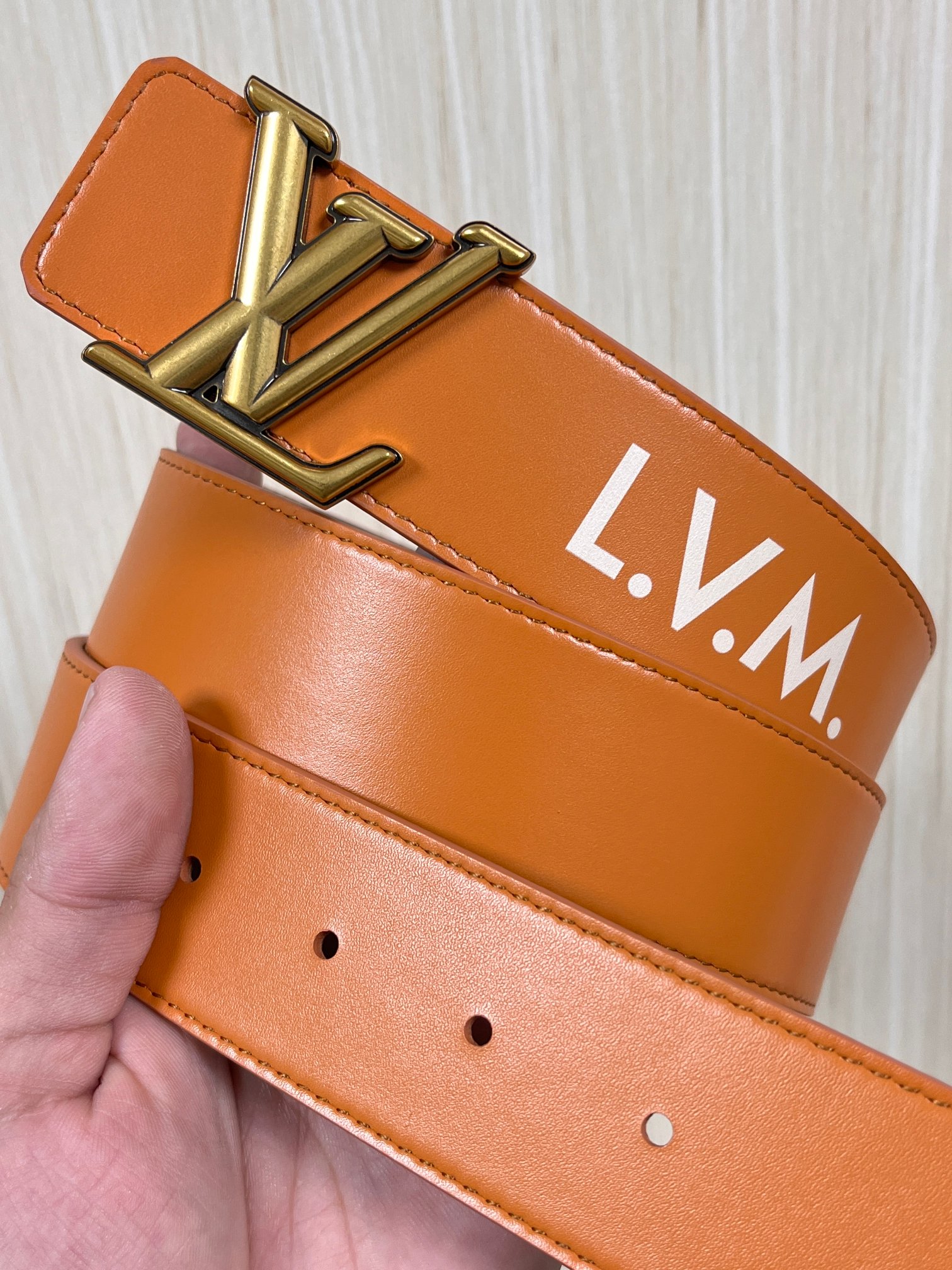 Louis Vuitton Canvas Belt Canvas S-m-l