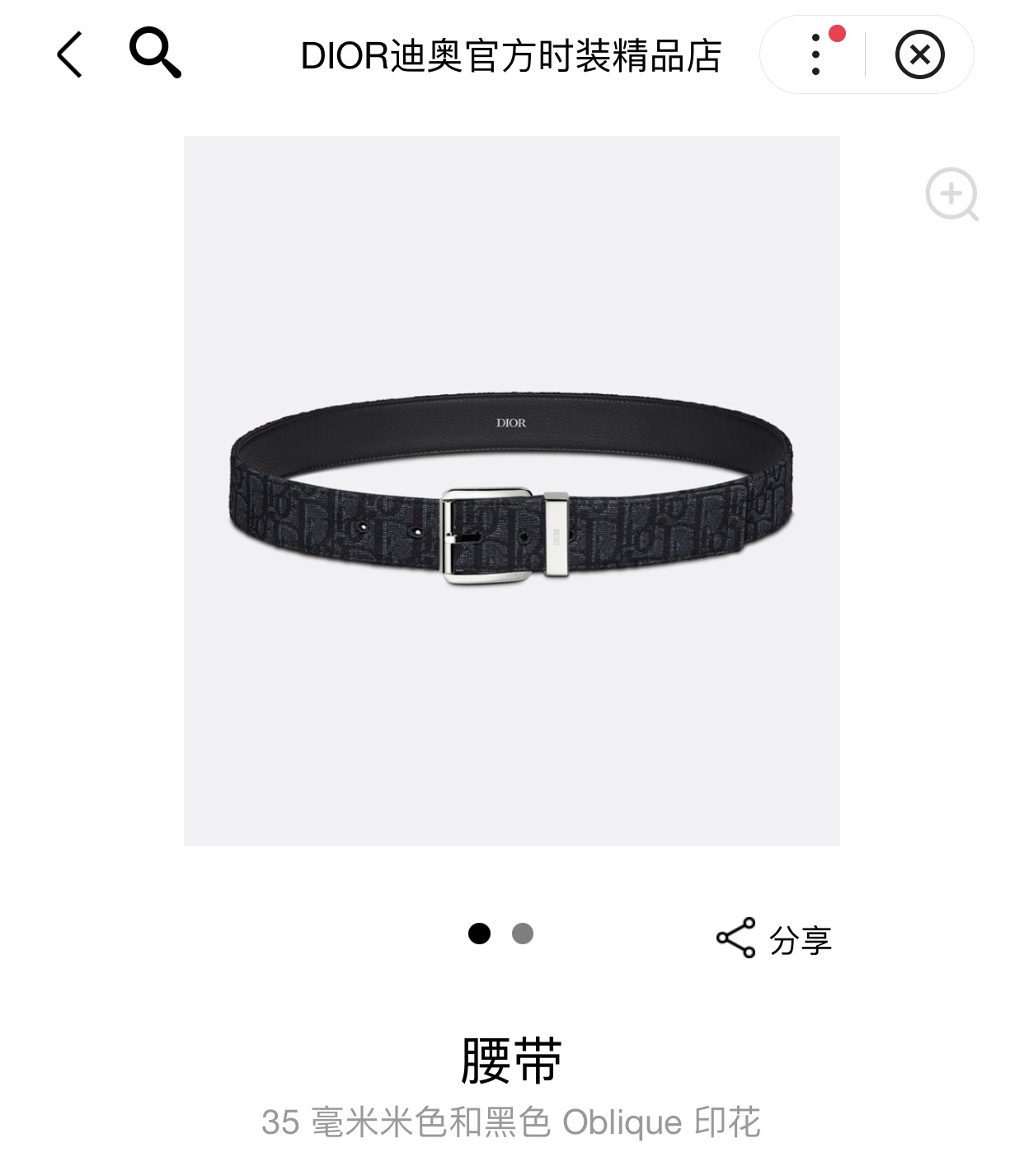 Dior Male Pin Buckle Belt Cow Leather Black M-l
