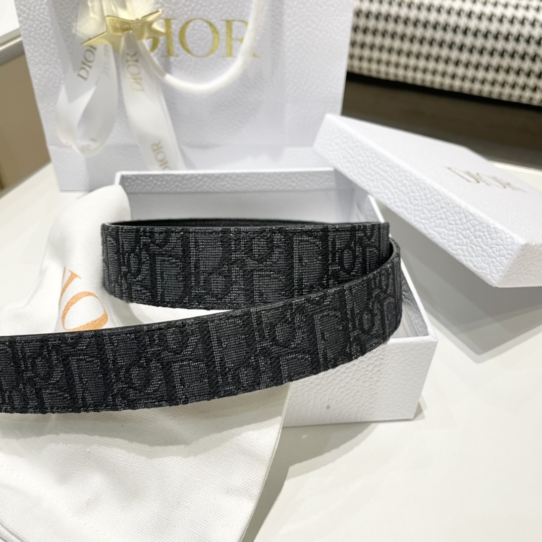 Dior Male Pin Buckle Belt Cow Leather Black M-l