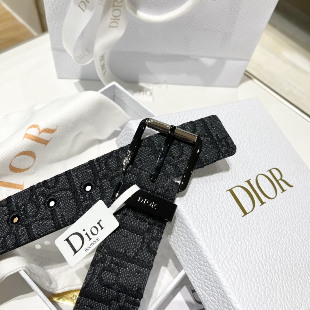 Dior Male Pin Buckle Belt Cow Leather Black M-l