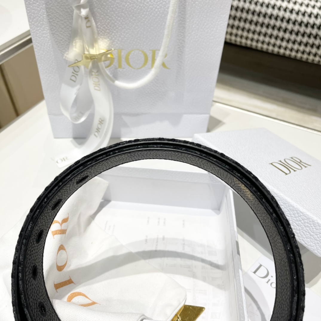 Dior Male Pin Buckle Belt Cow Leather Black M-l