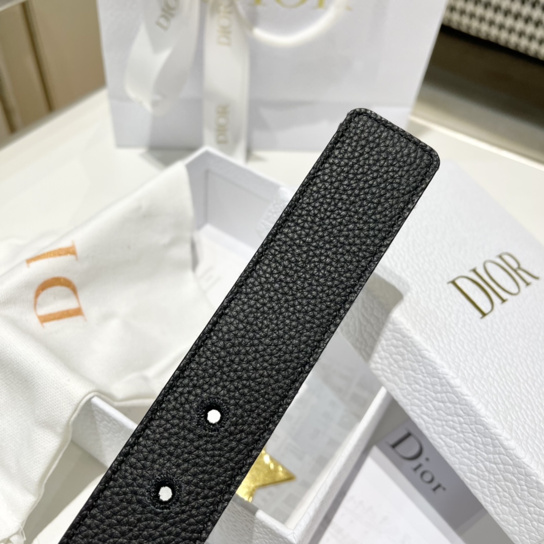 Dior Male Pin Buckle Belt Cow Leather Black M-l