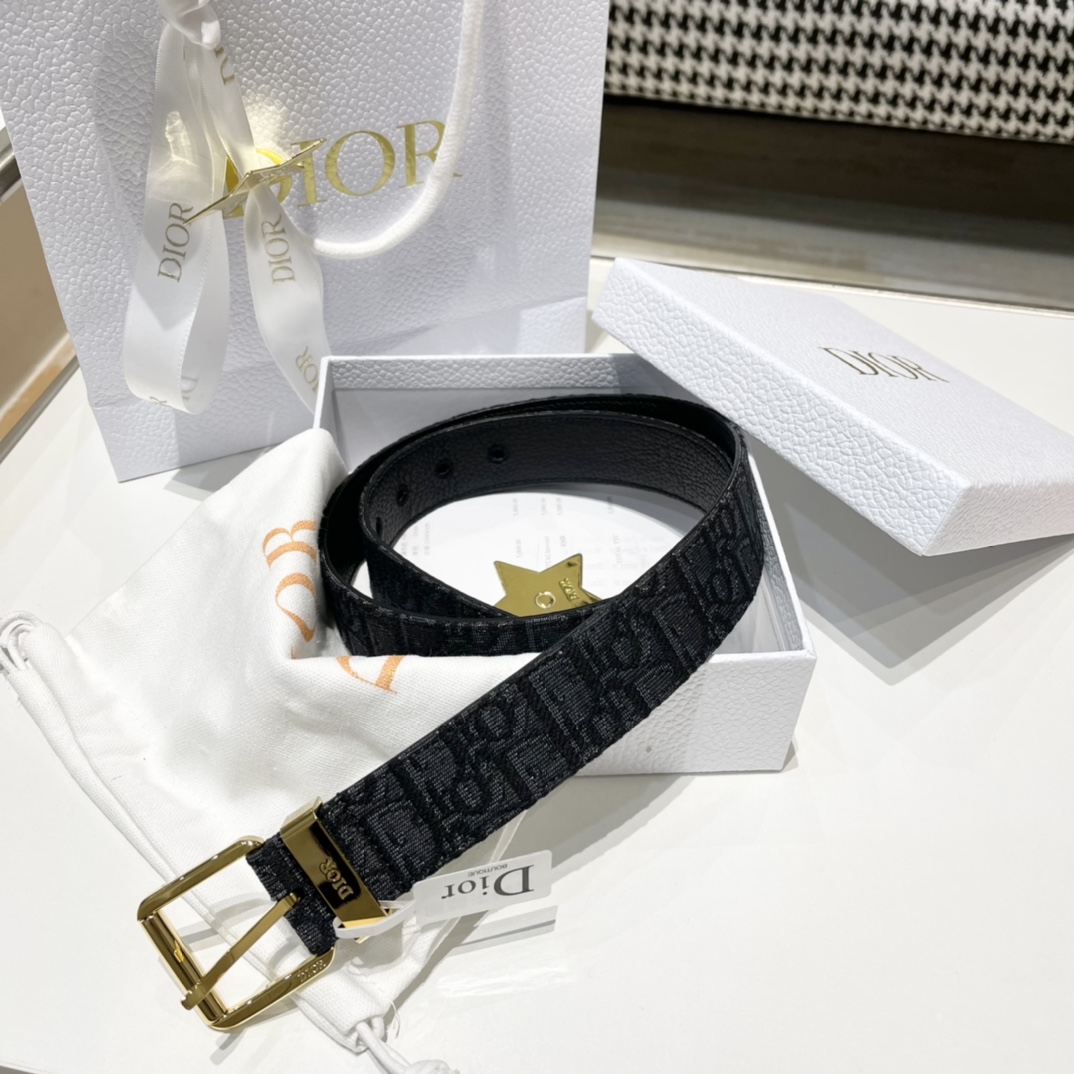 Dior Male Pin Buckle Belt Cow Leather Black M-l