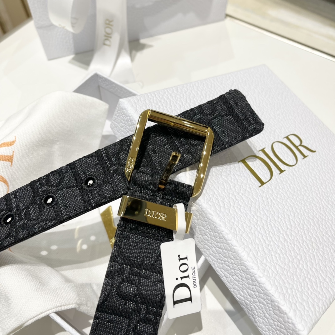 Dior Male Pin Buckle Belt Cow Leather Black M-l