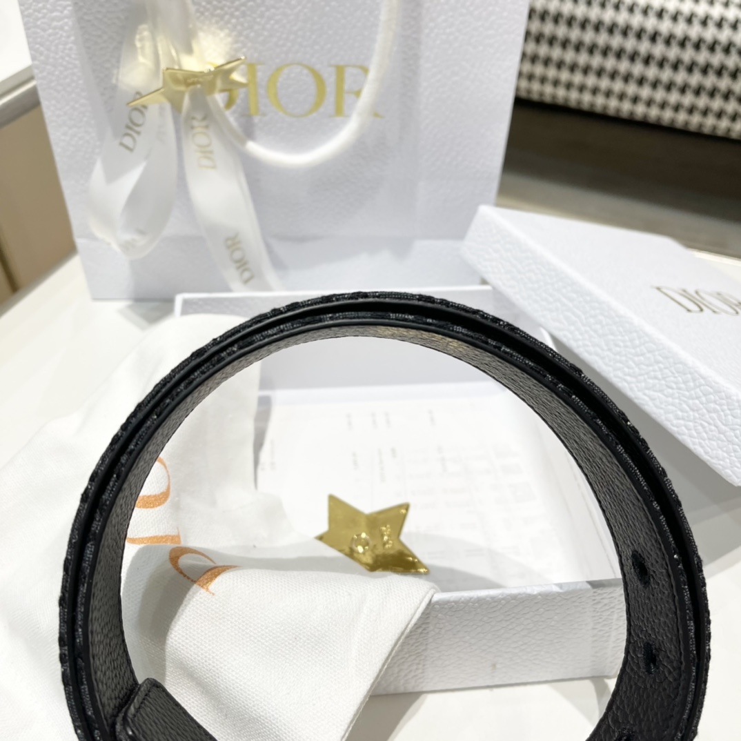 Dior Male Pin Buckle Belt Cow Leather Black M-l